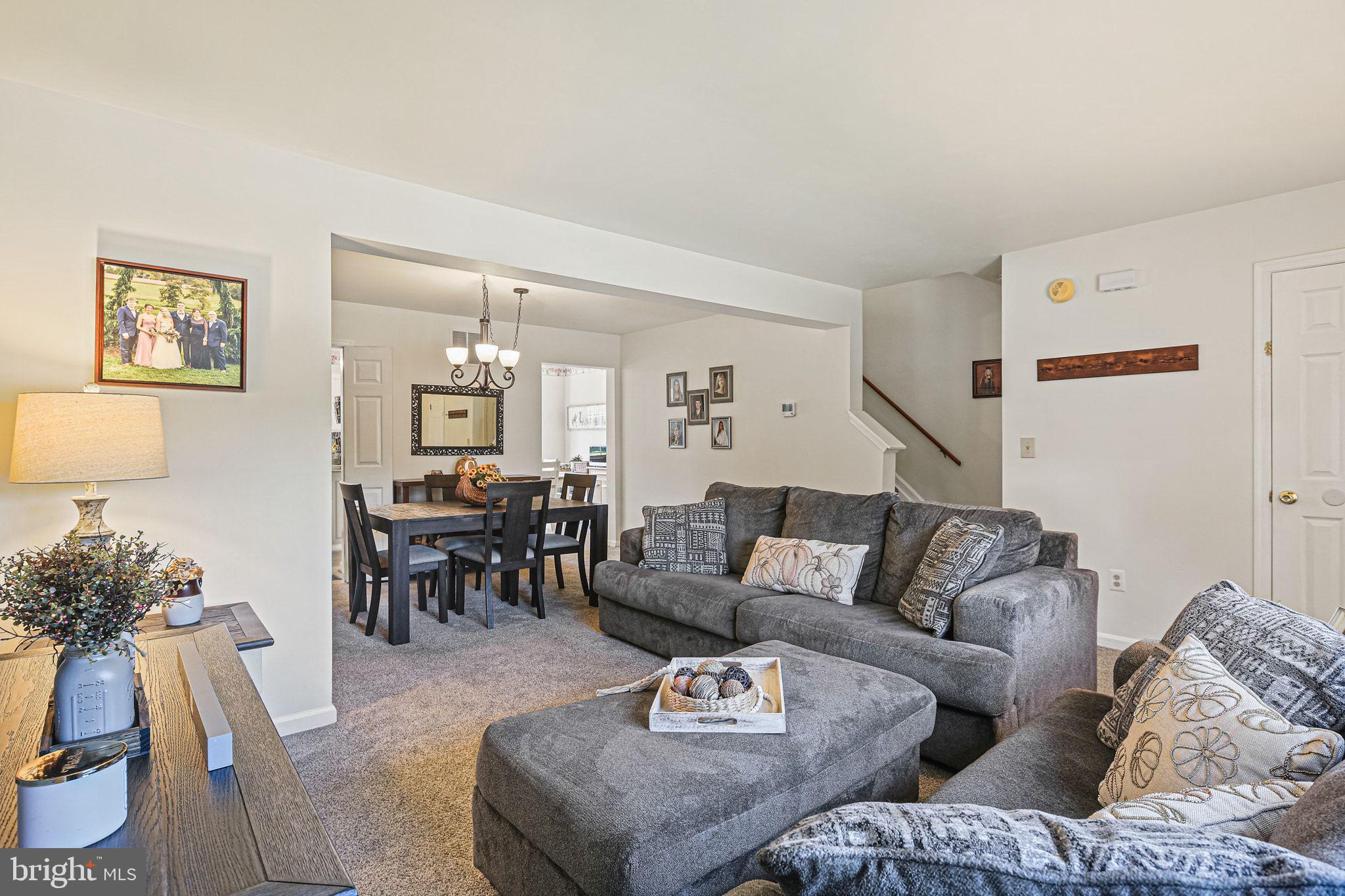 234 HUNTERS RUN TERRACE