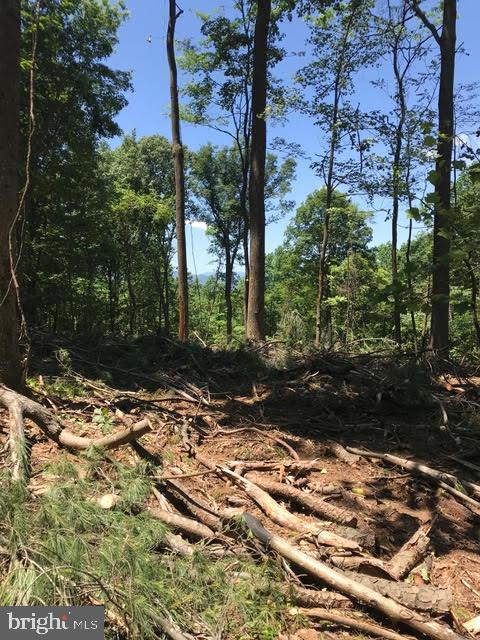 BLANDEMAR FARM ESTATES - Land