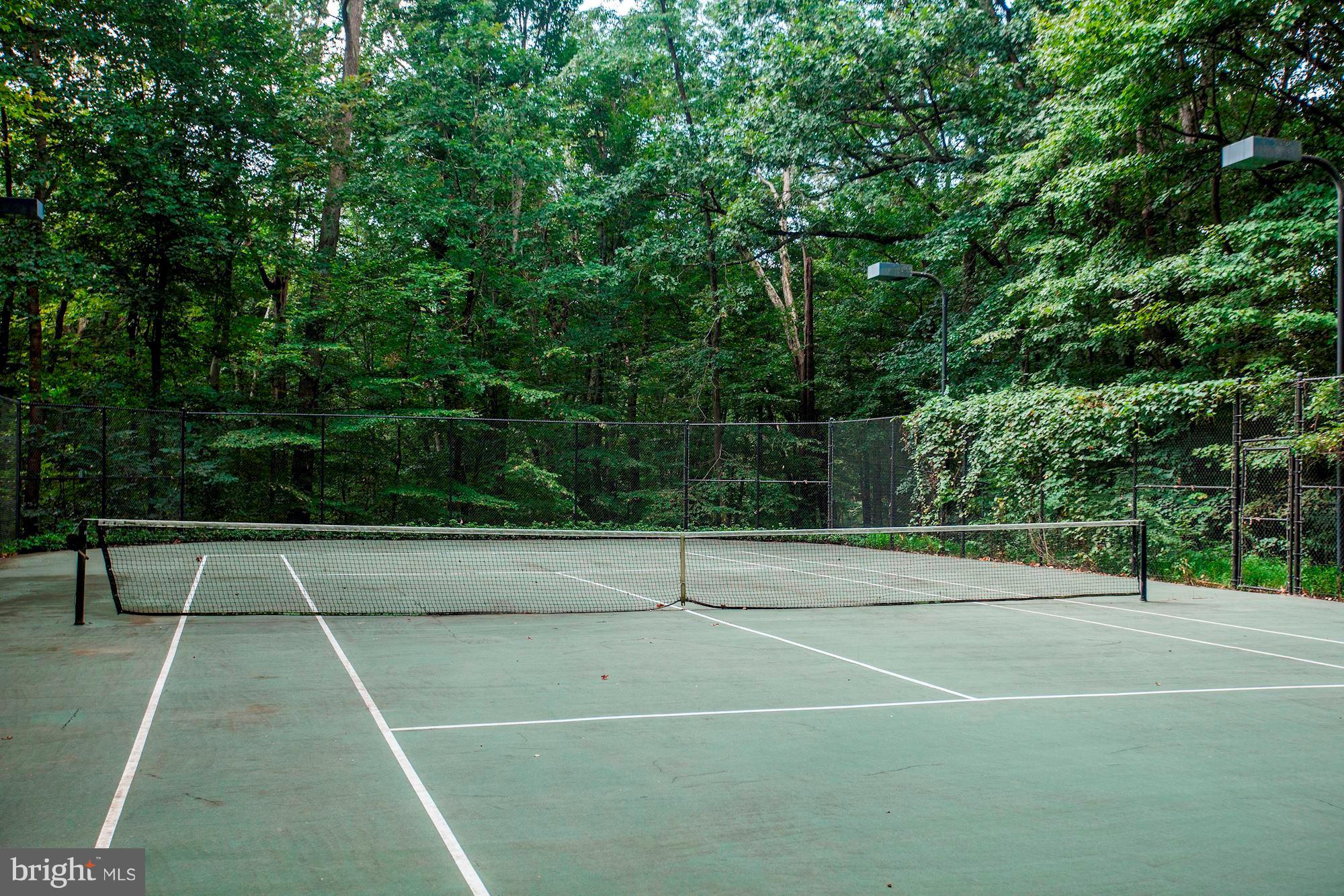 POTOMAC FALLS - Residential