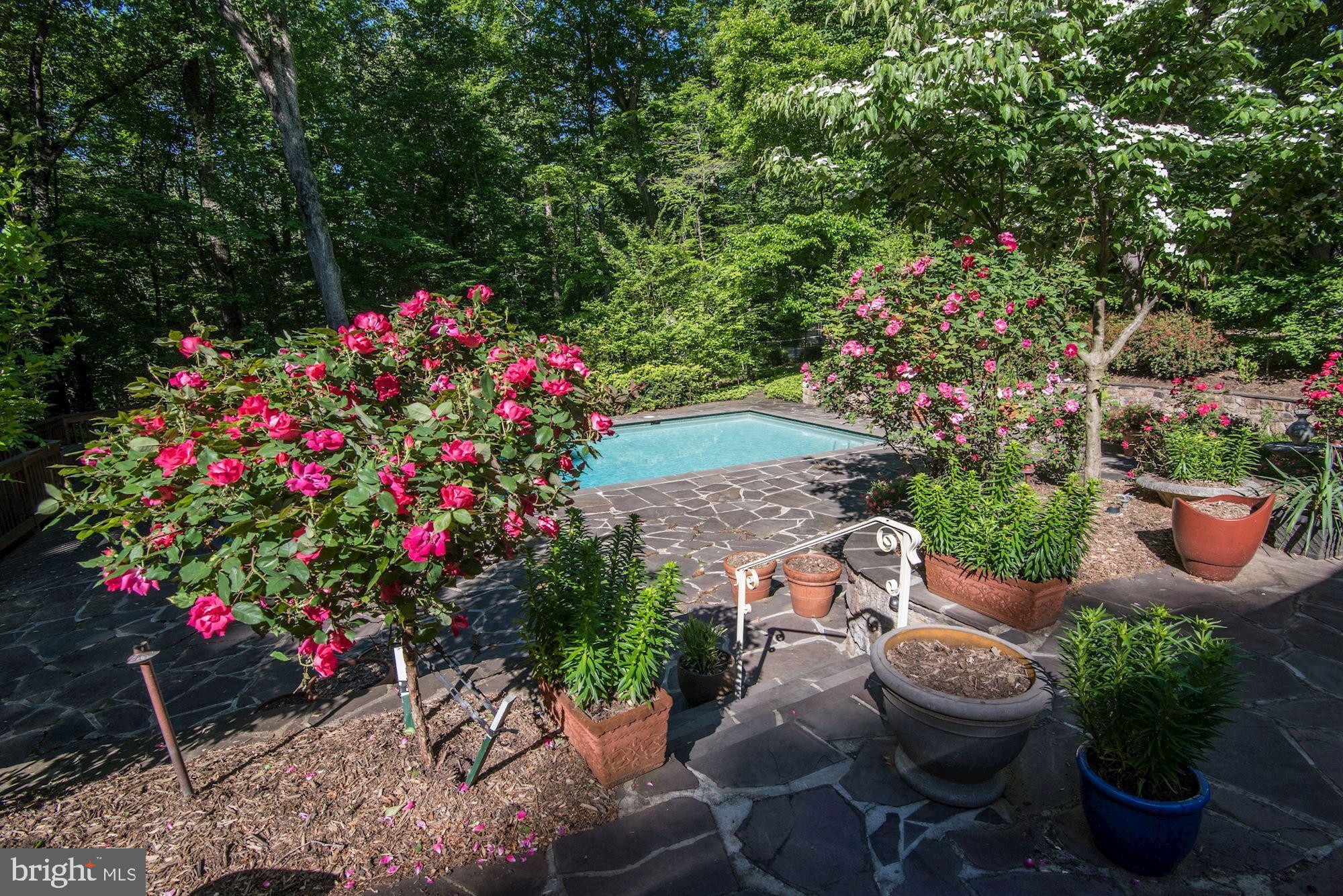 POTOMAC FALLS - Residential