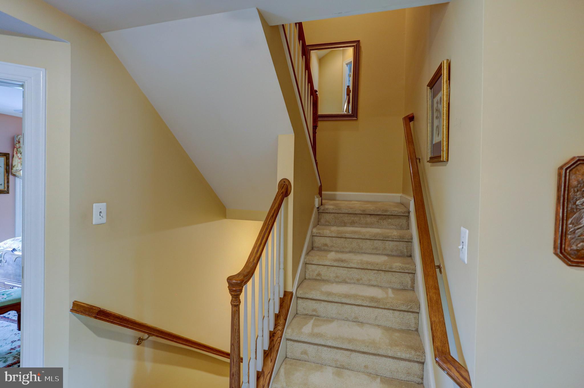 BELVEDERE DOYLE SQ - Residential