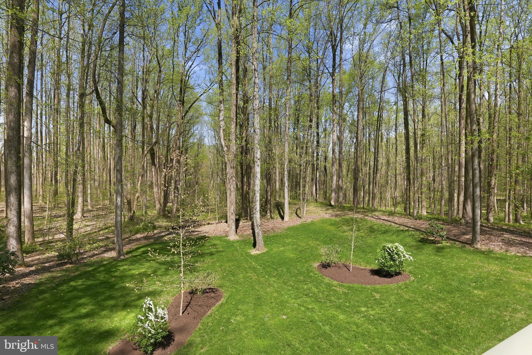 ASHLEY - Residential