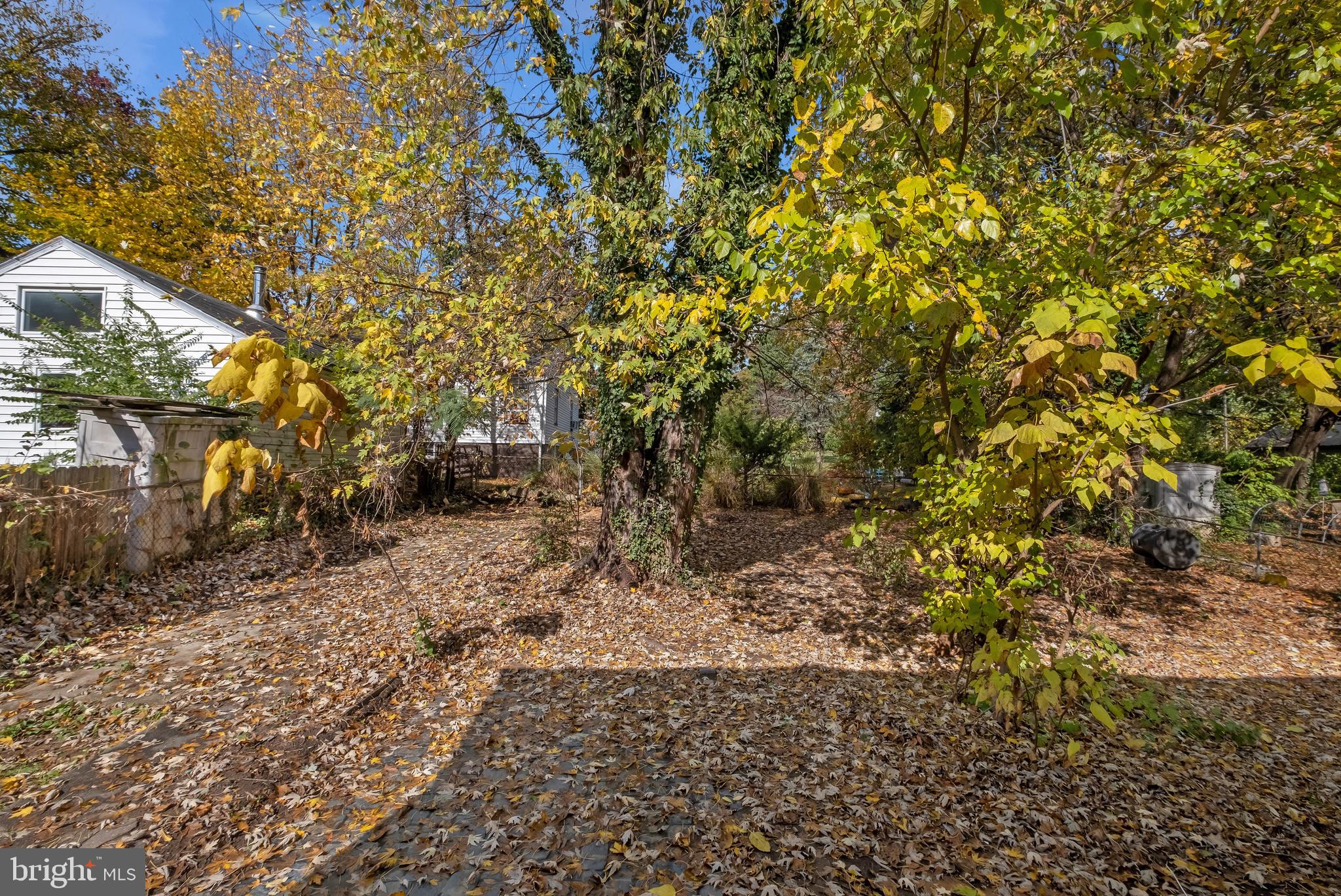 MT RAINIER - Residential