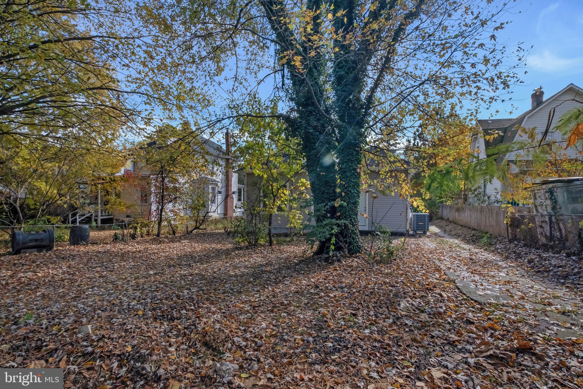 MT RAINIER - Residential