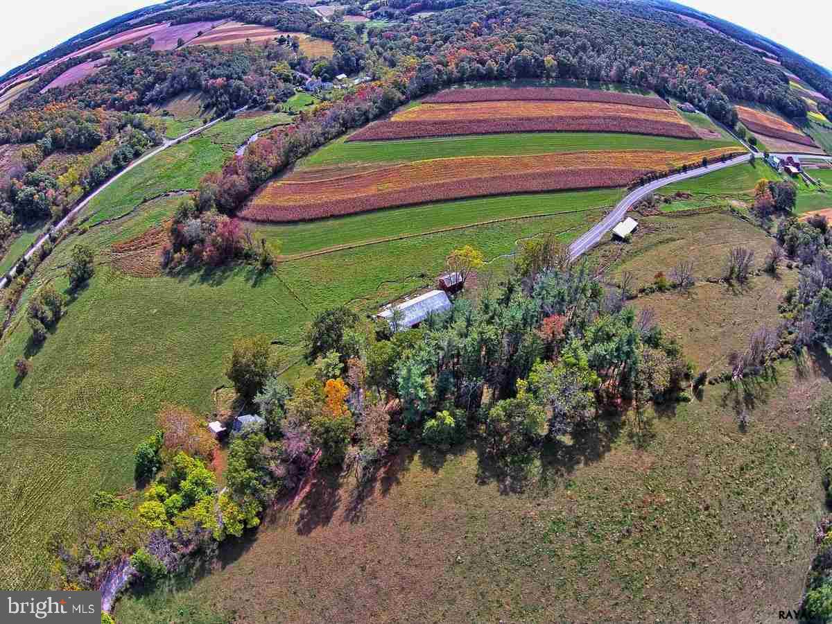 NONE AVAILABLE - Farm
