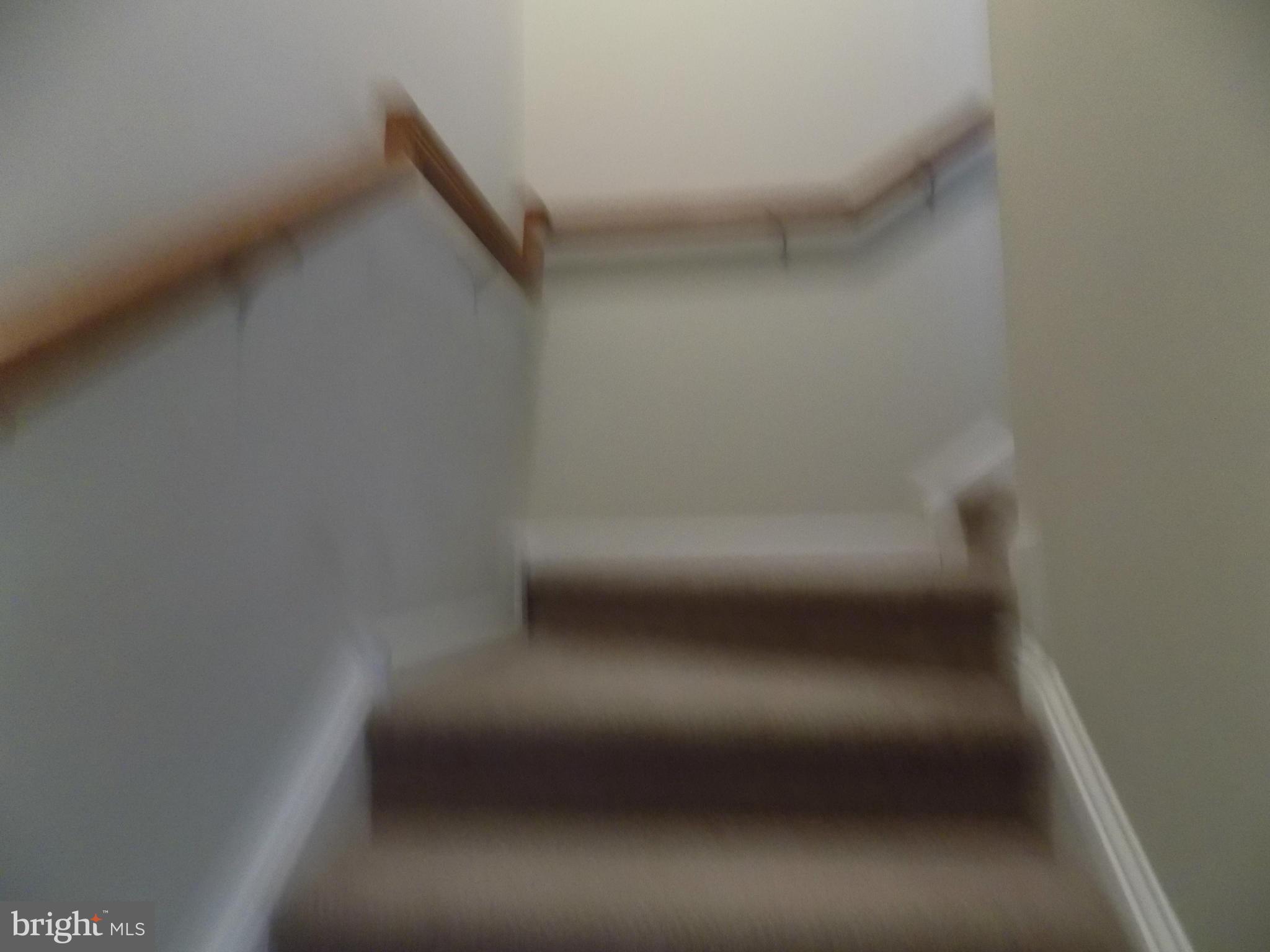 IVY HILLS - Residential Lease