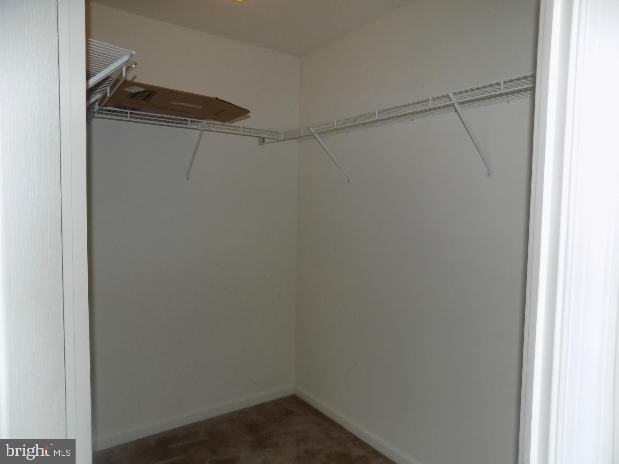 IVY HILLS - Residential Lease