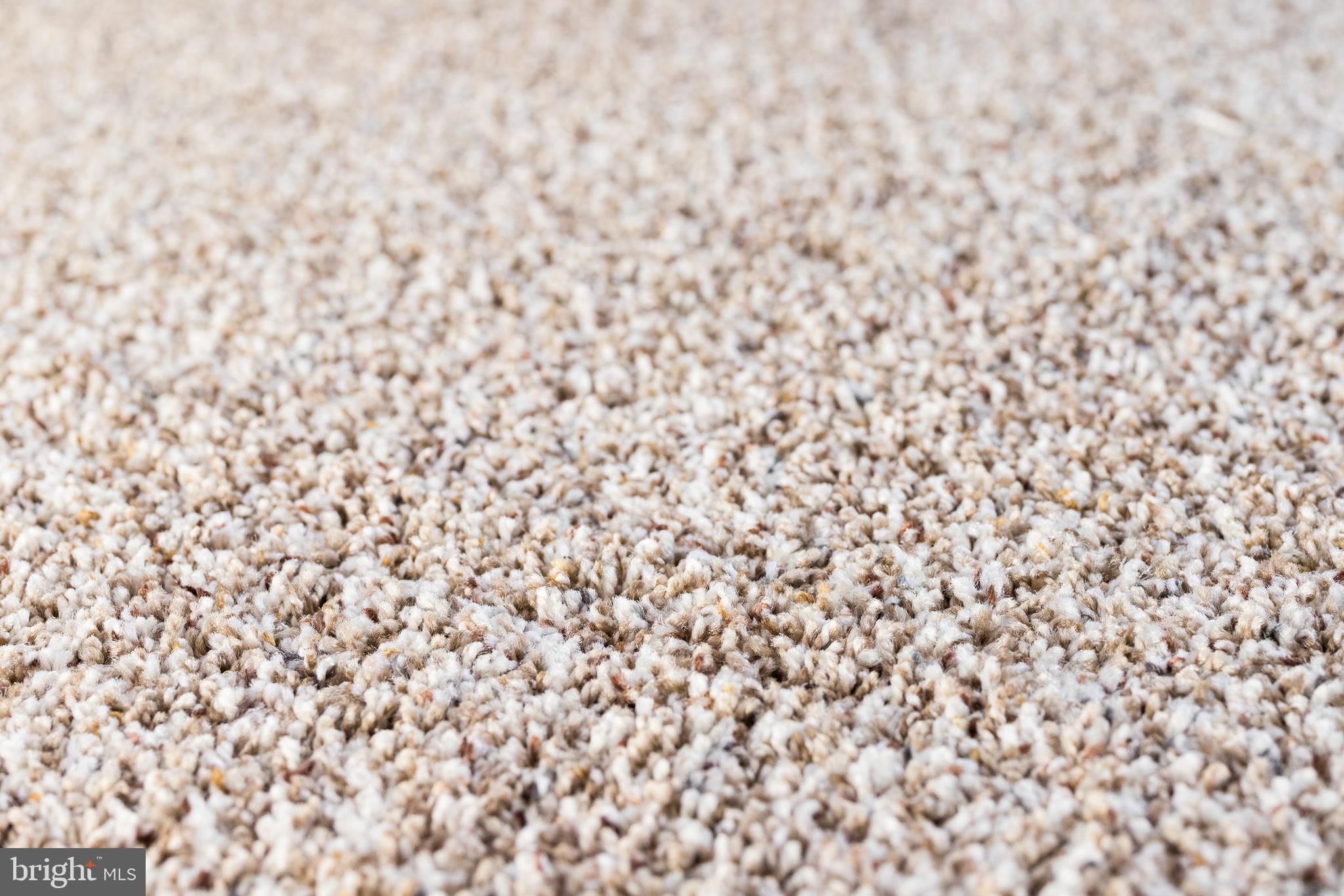 WOODLAND BEACH - Residential