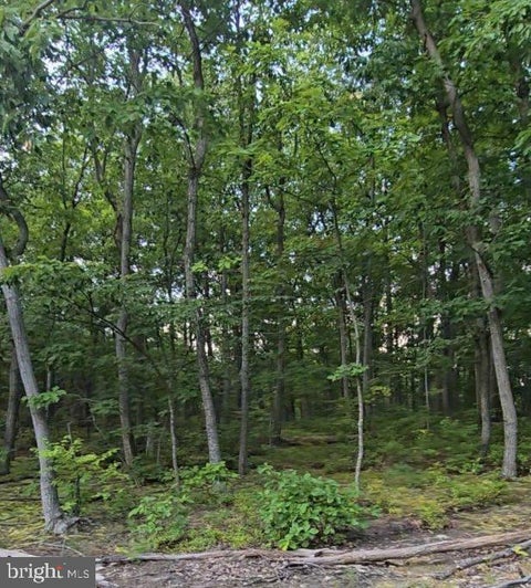 Vacant Land For Sale - Cumberland Highway<br/> Franklin County, NEWBURG, PA 17240