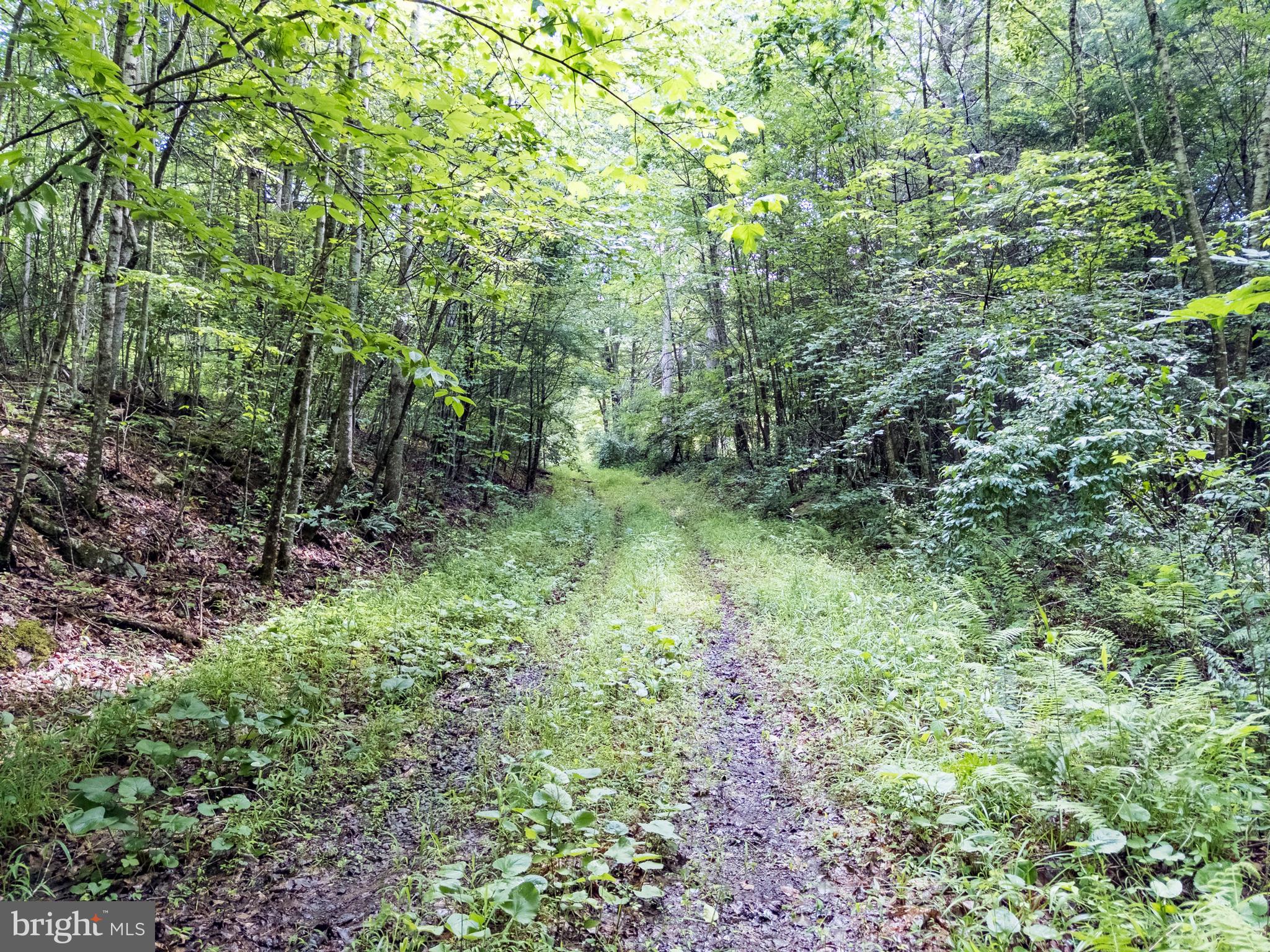 821 PINE BRANCH ROAD