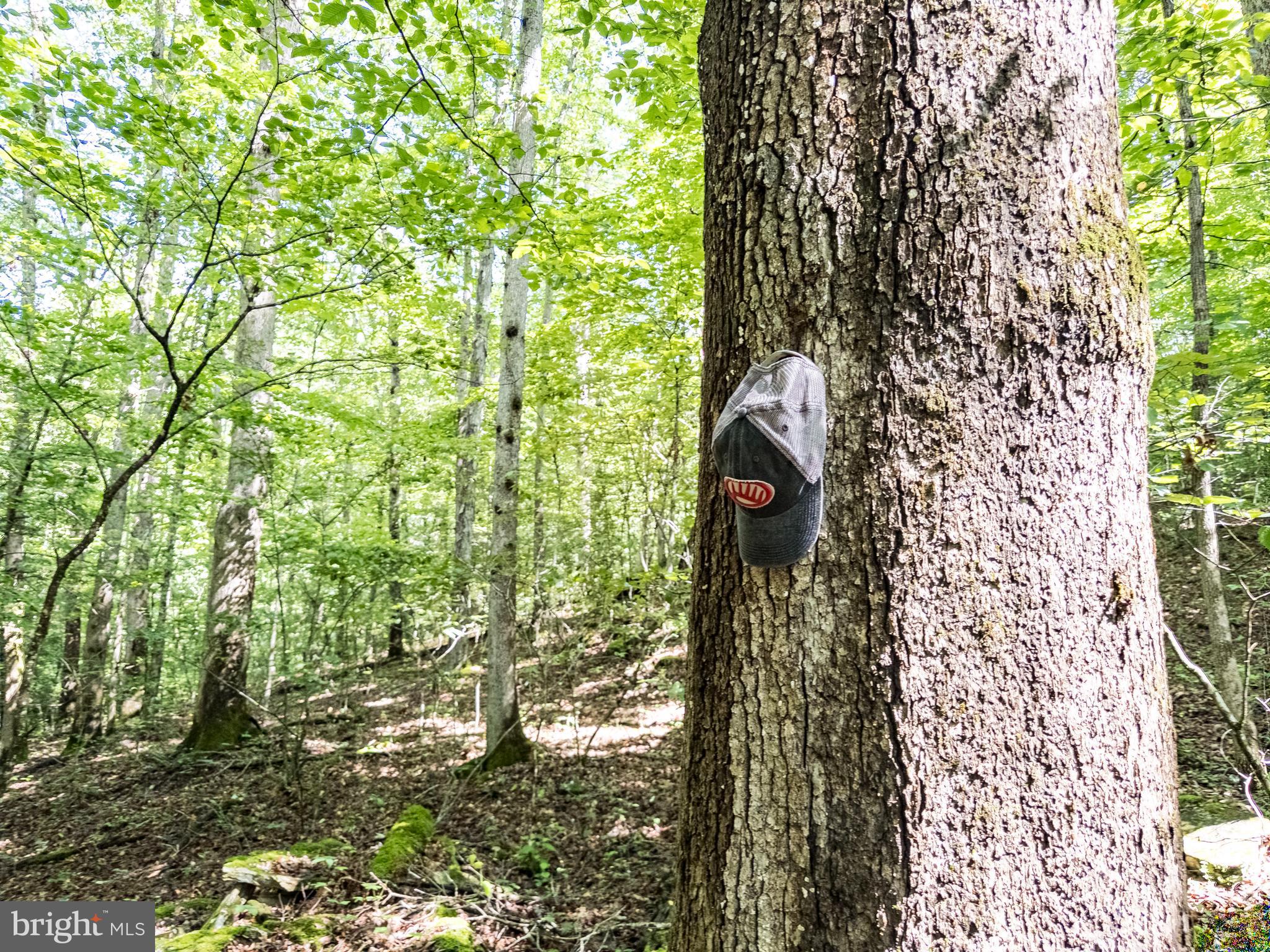 821 PINE BRANCH ROAD