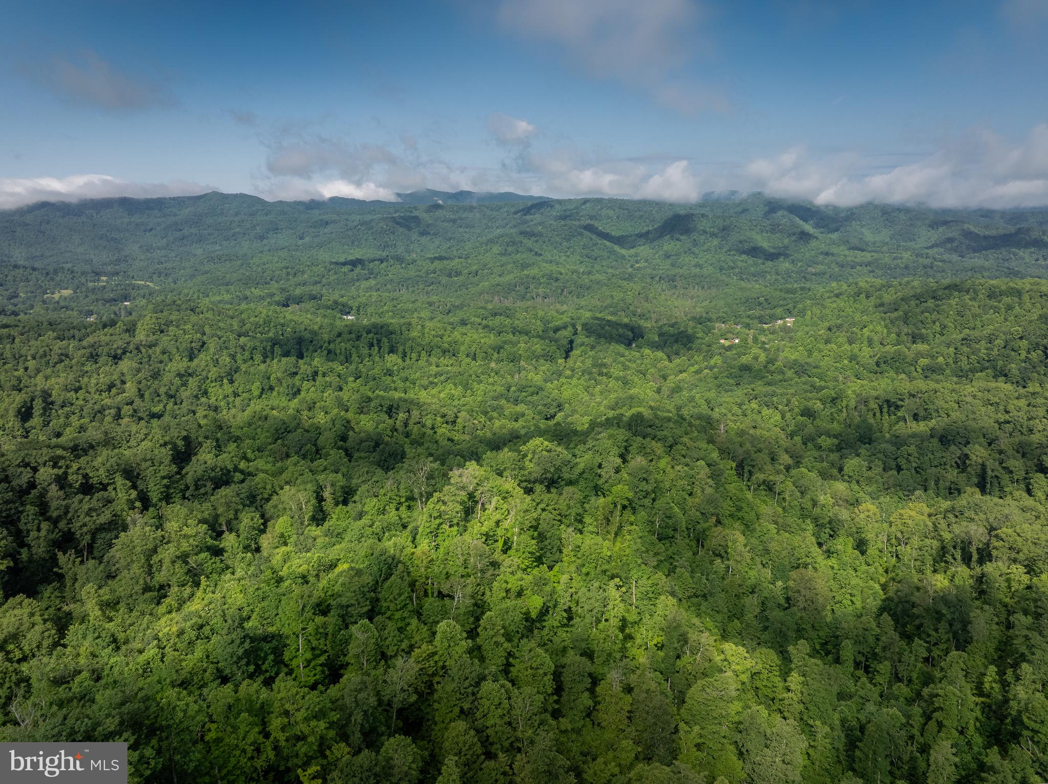 821 PINE BRANCH ROAD