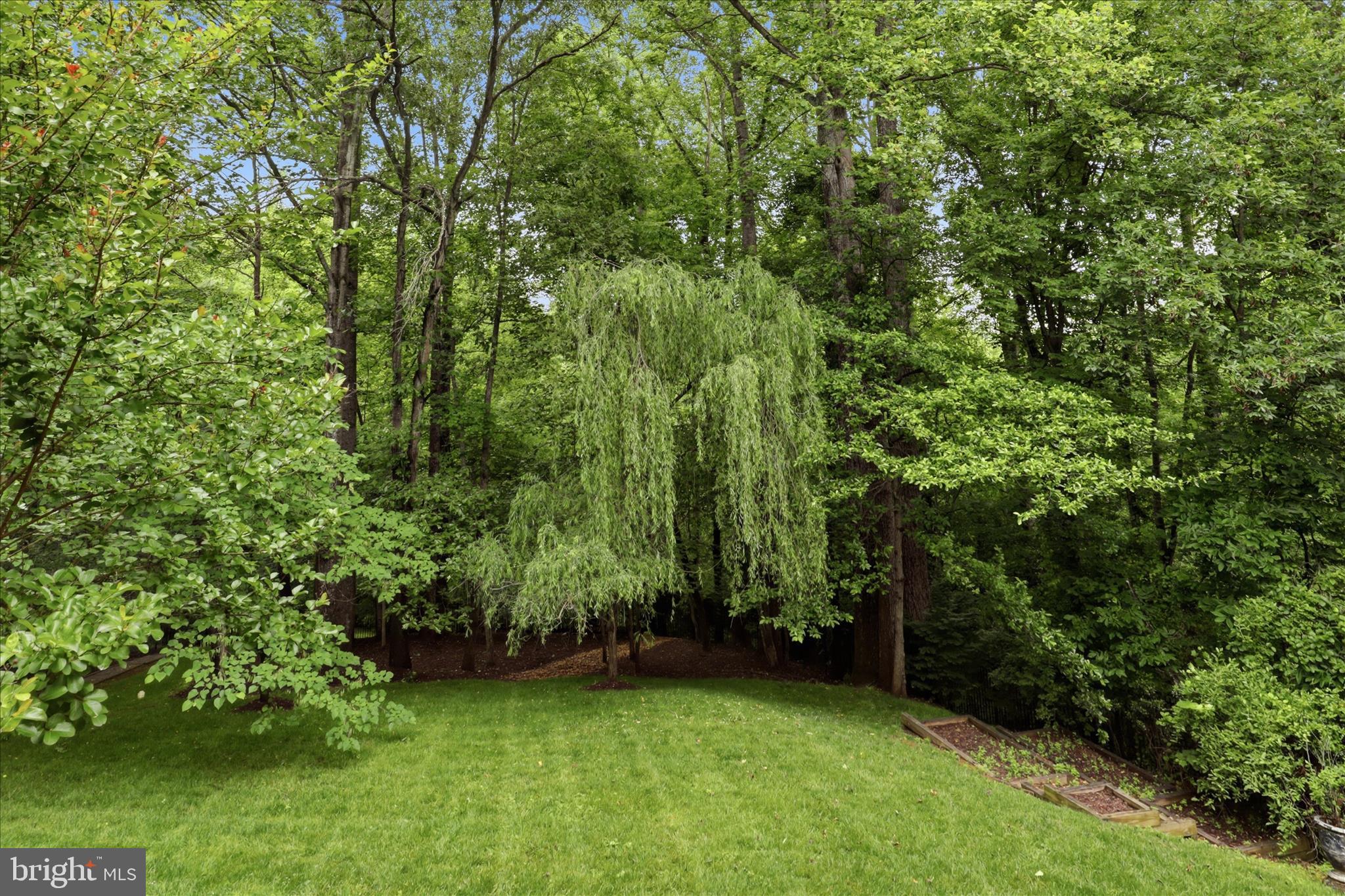 COLVIN MILL RUN - Residential