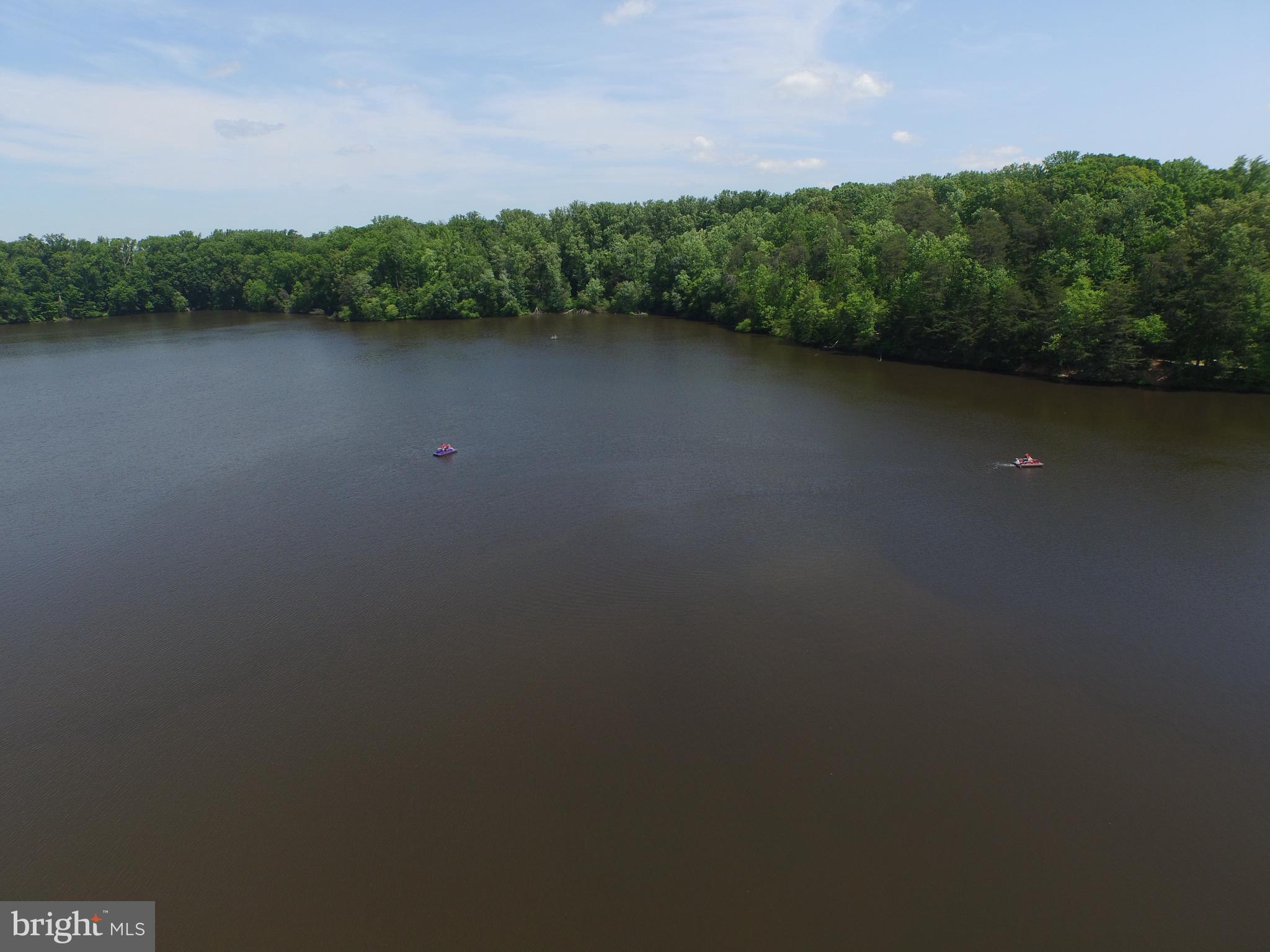 CARDINAL FOREST - Residential