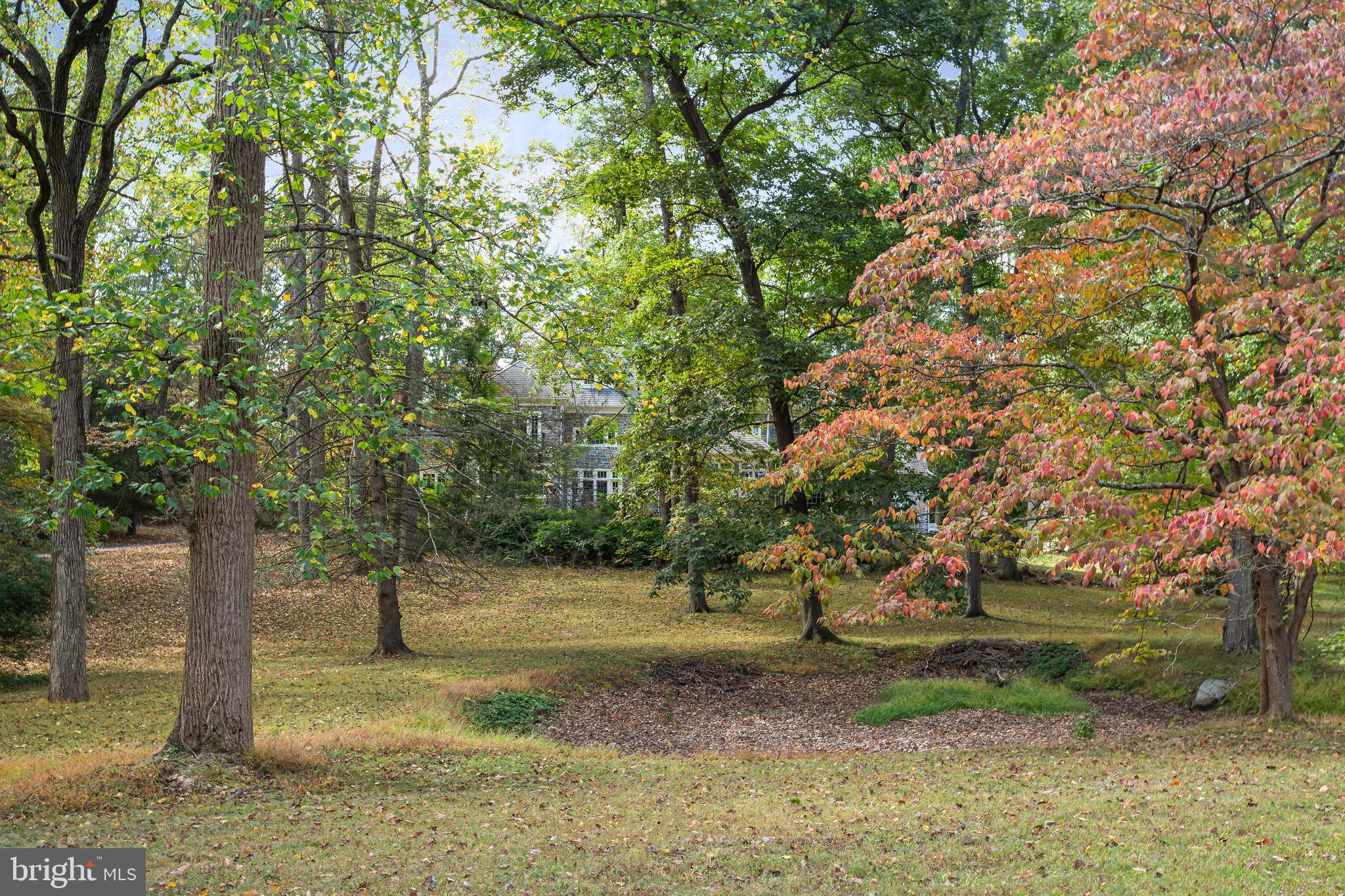 RADNOR HUNT - Residential