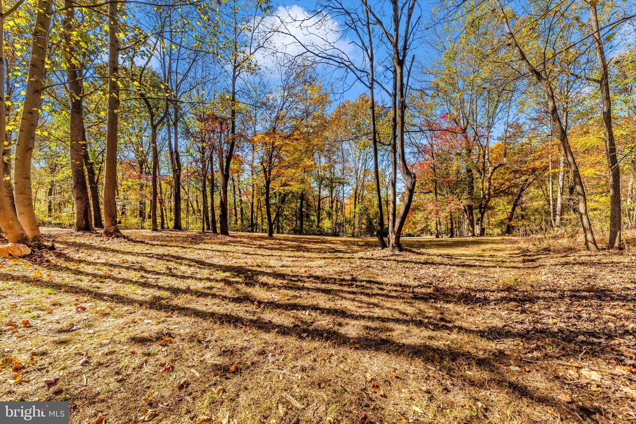 CROSSINGS ON THE POTOMAC - Residential