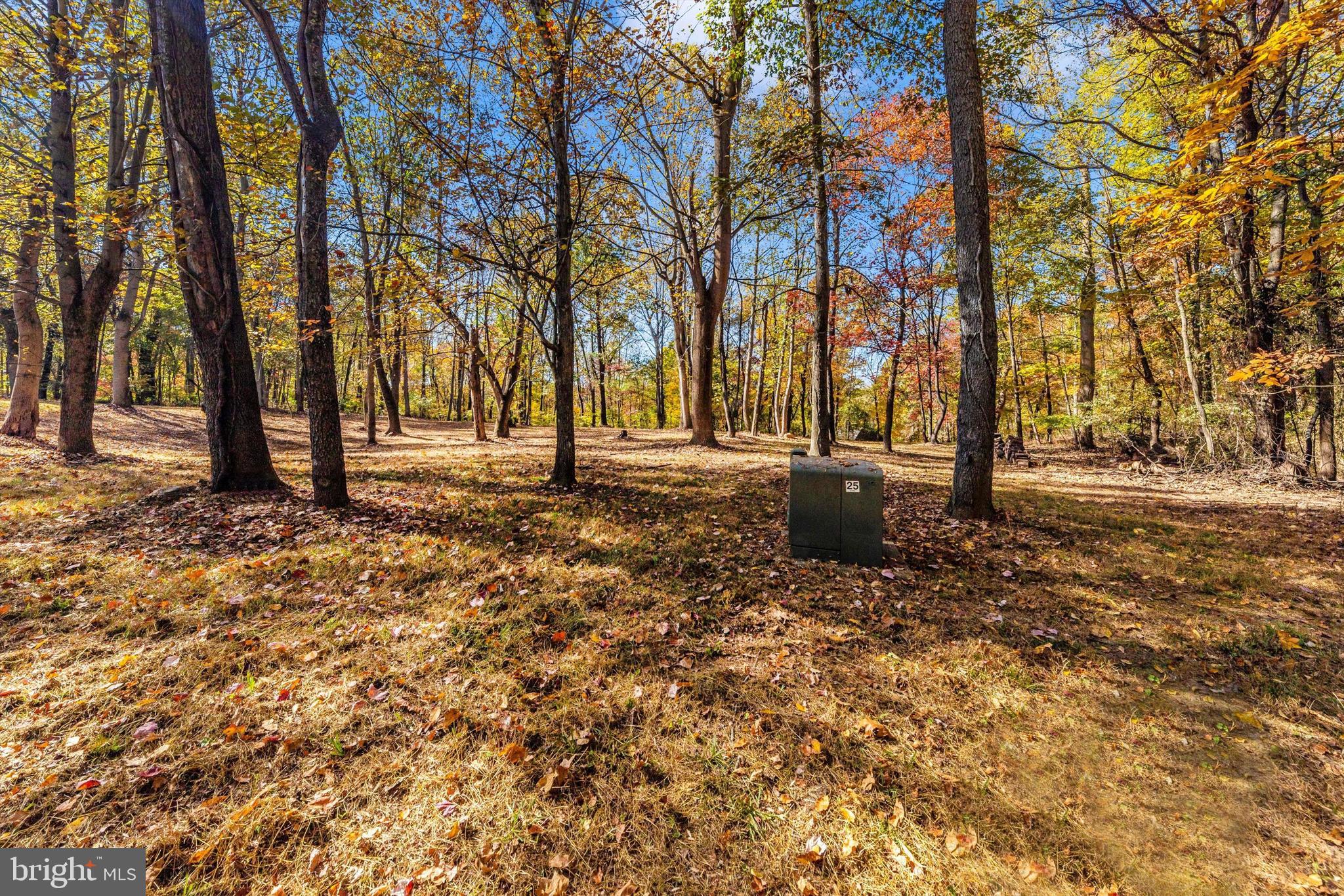 CROSSINGS ON THE POTOMAC - Residential