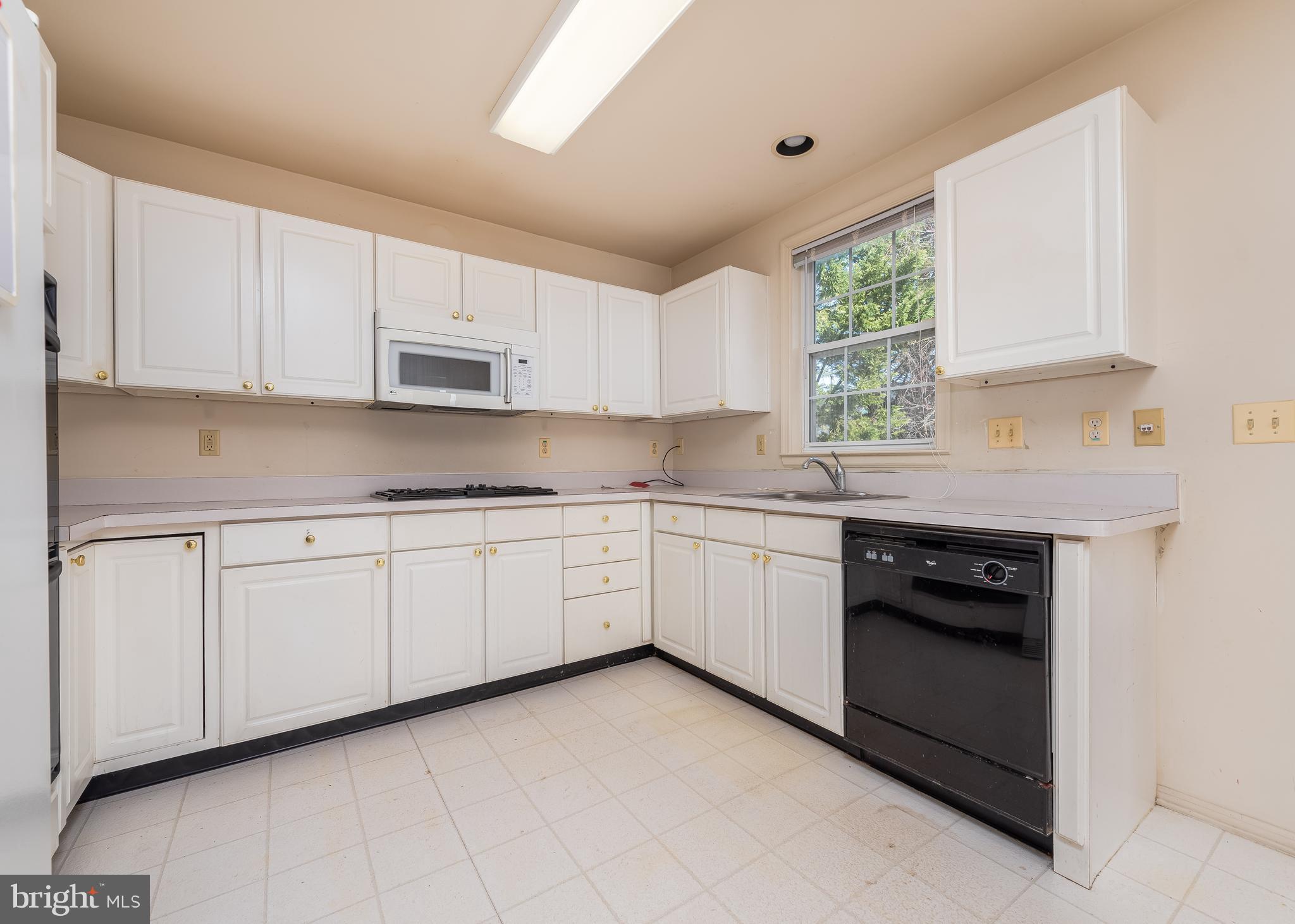 VILLAGE OF PAINTERS MILL - Residential