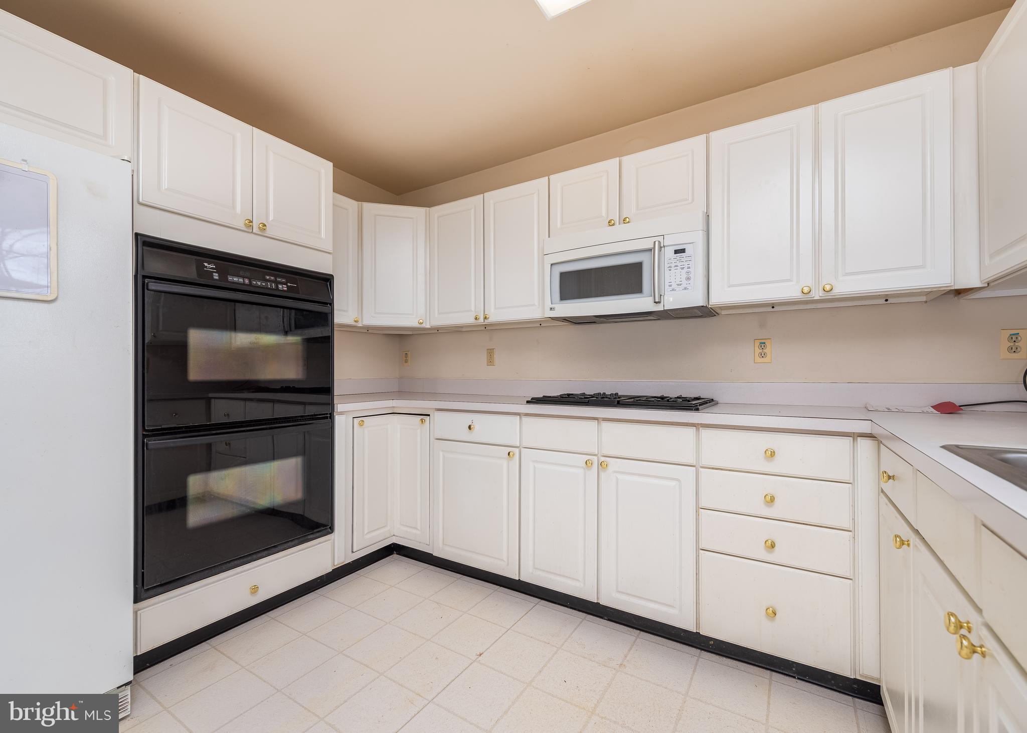 VILLAGE OF PAINTERS MILL - Residential