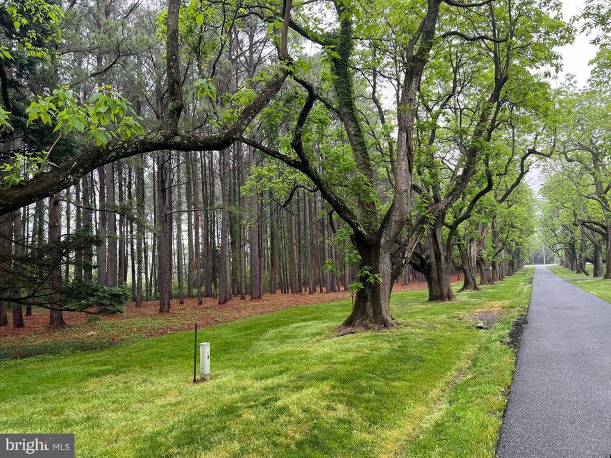 Lot B Catalpa Point Road - Perc Approved, recorded building site off Oxford Road, just 4 miles to Easton.  The 10,000-sq' Sewage Disposal Area was revalidated in 2020.  Please see the notes on the recorded plat from May 2021 in the documents.  Very few building sites remain between Easton and Oxford.  This is a wonderful opportunity to build your home in a lovely setting near Easton and Oxford.
