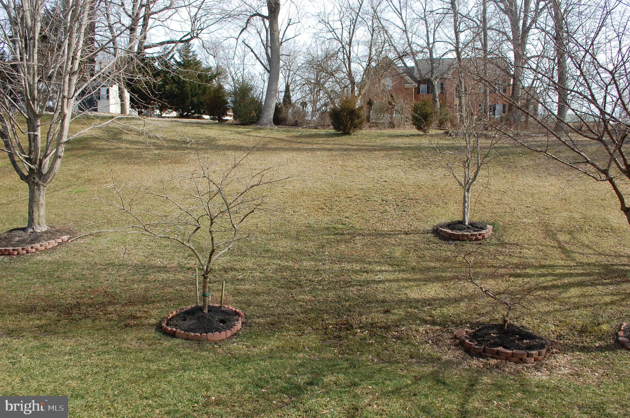 DAWSON LANDING - Residential Lease