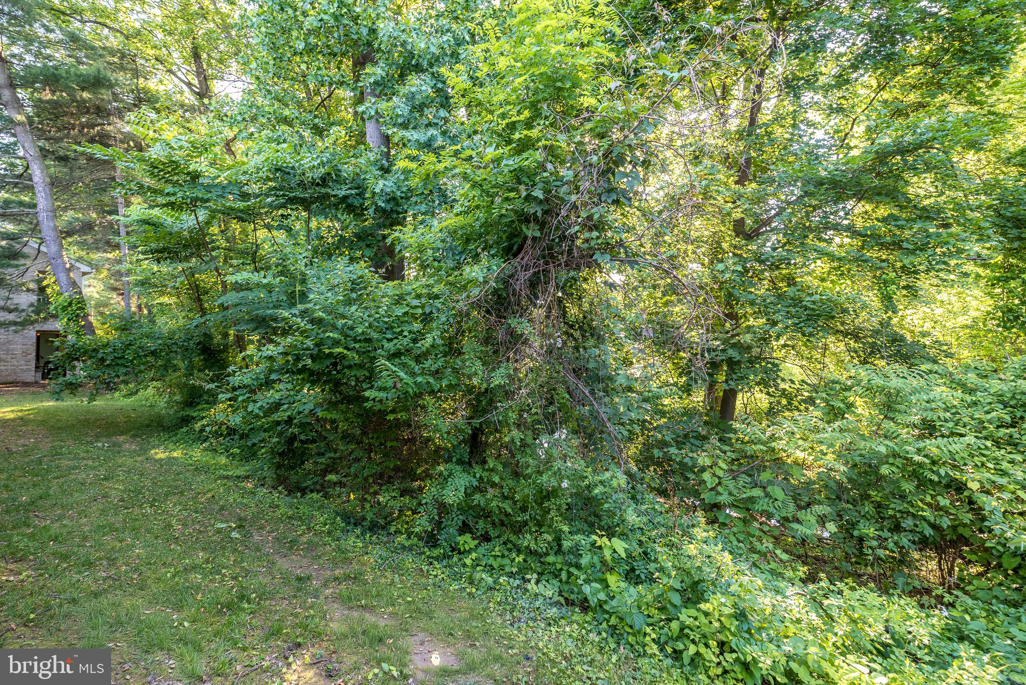 ELKINS PARK - Residential