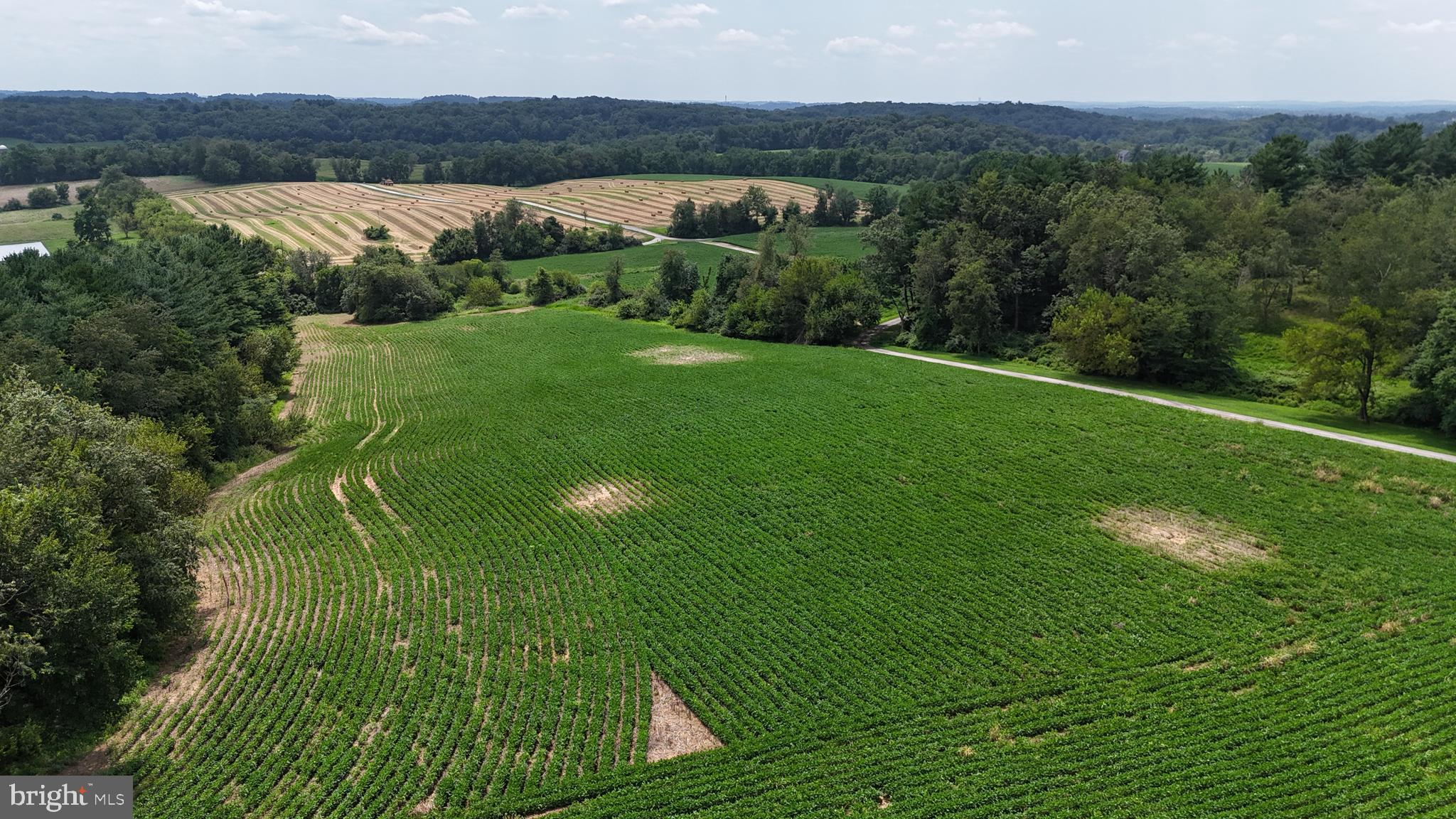 NONE AVAILABLE - Farm