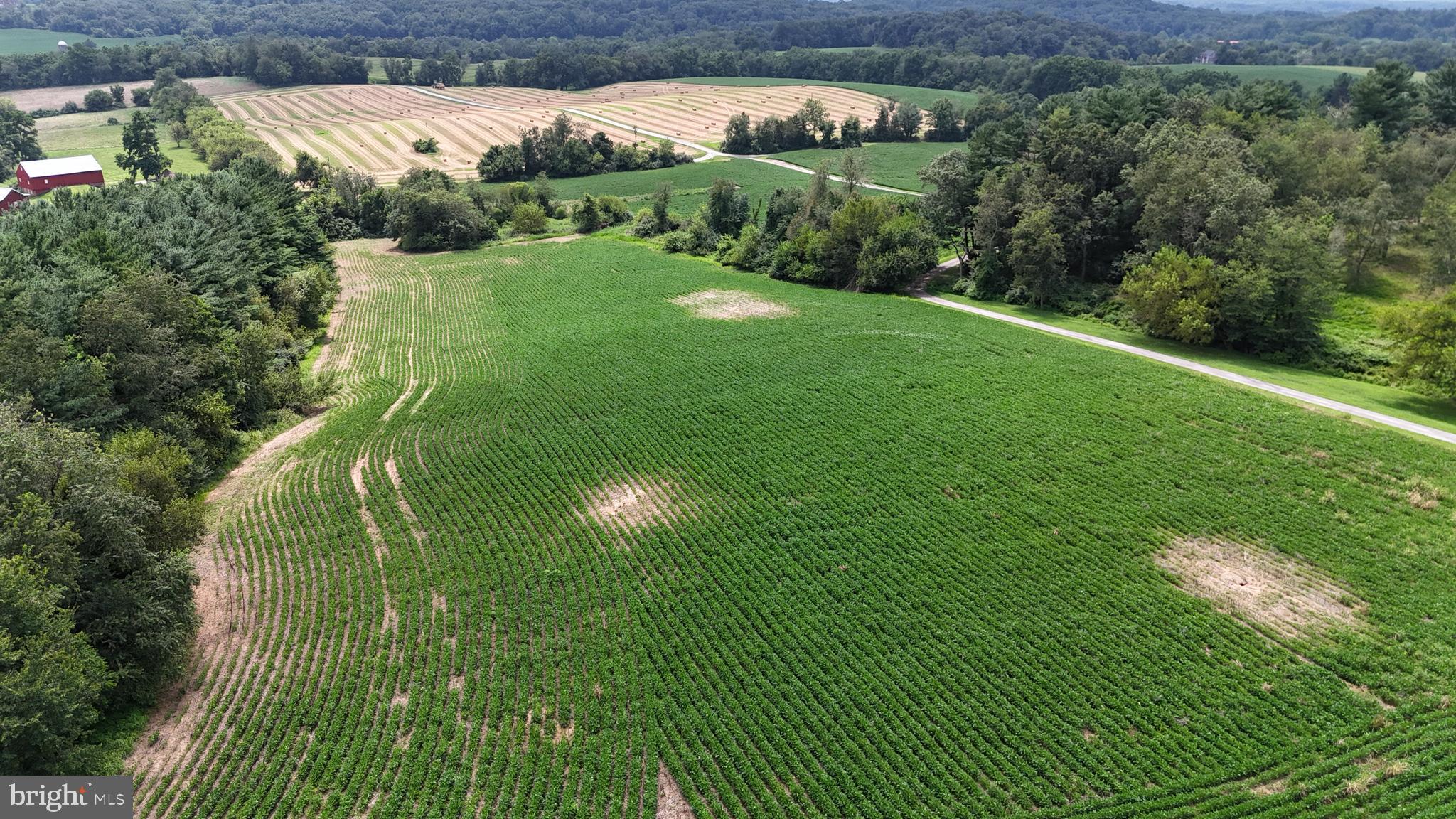 NONE AVAILABLE - Farm