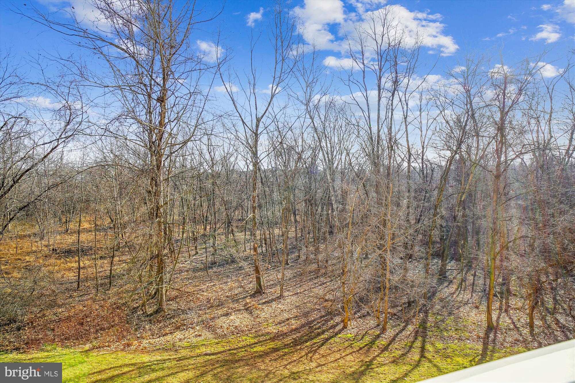 SPRING RIDGE - Residential