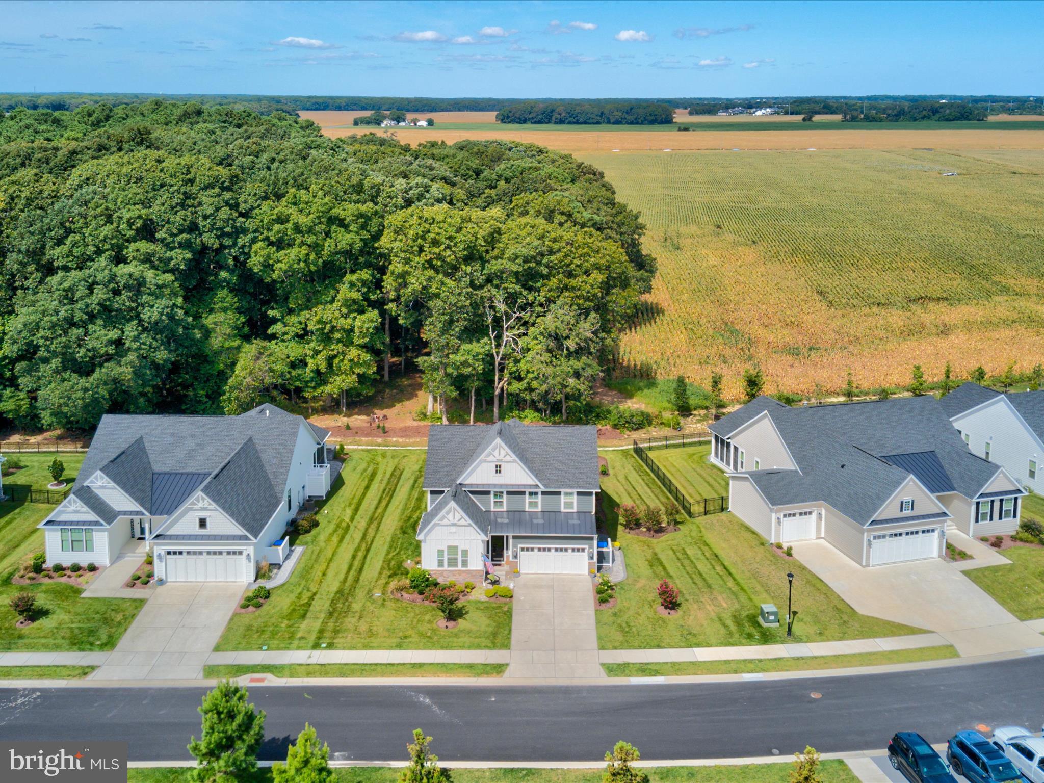 WELLESLEY AT HIDDEN MEADOWS - Residential