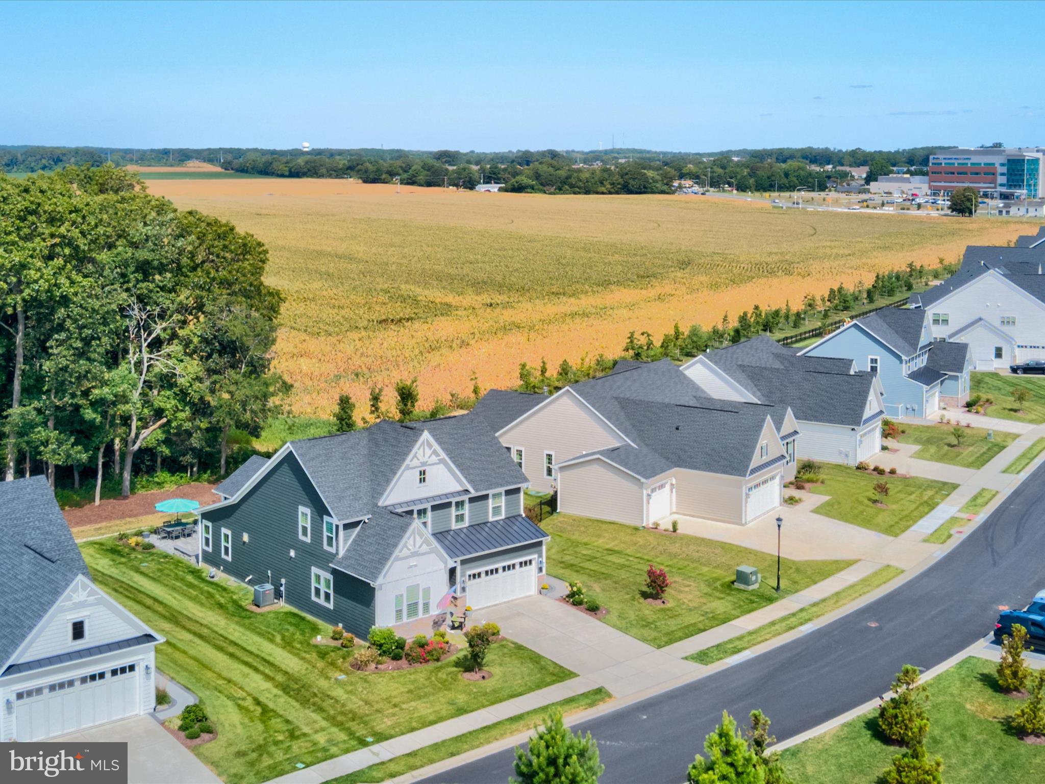 WELLESLEY AT HIDDEN MEADOWS - Residential