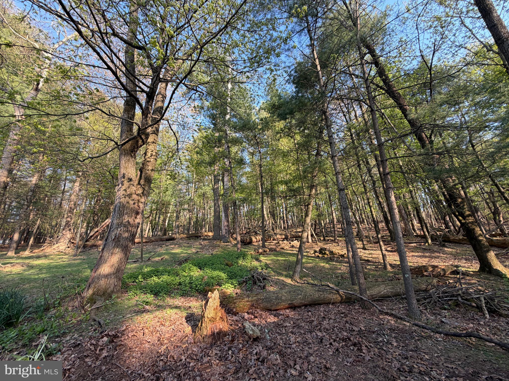 LAKE WYNONAH - Residential