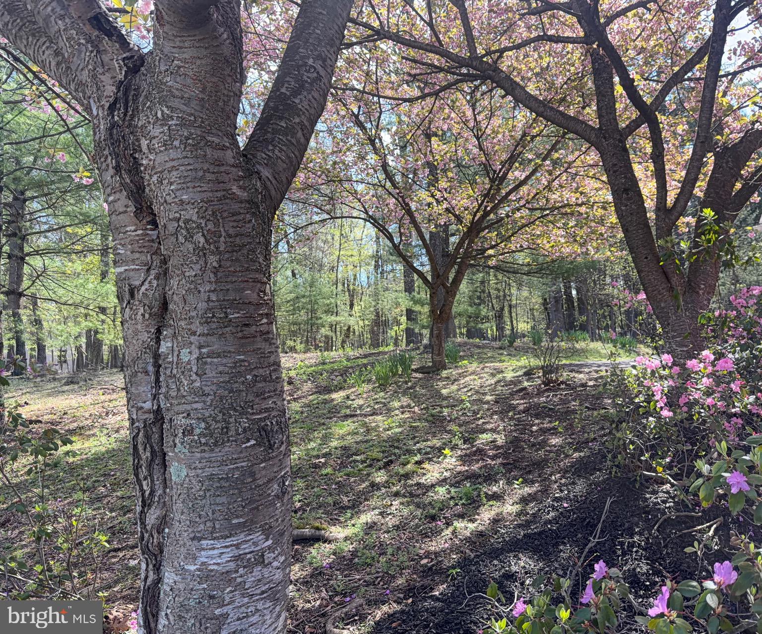 LAKE WYNONAH - Residential