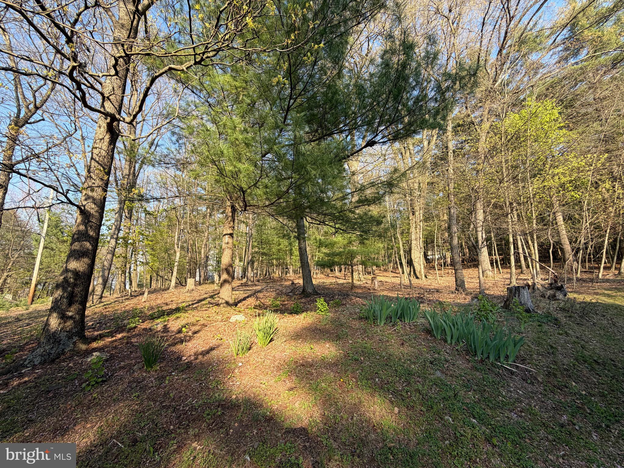 LAKE WYNONAH - Residential
