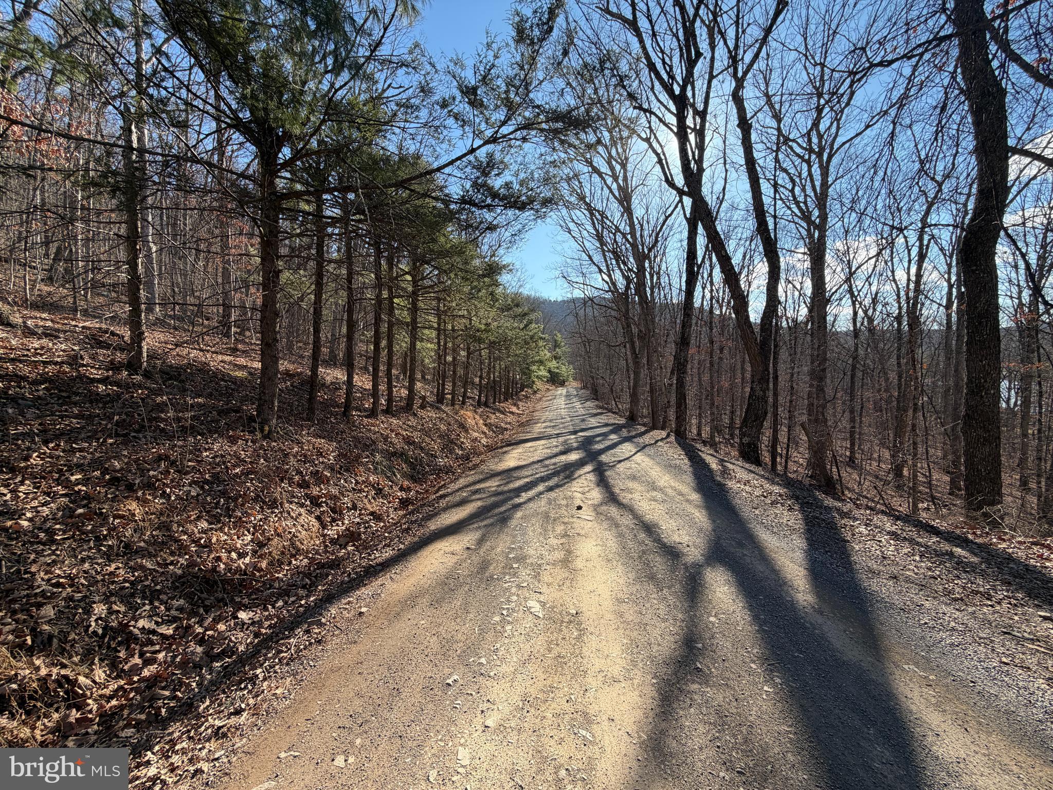 LAKE FERNDALE - Land