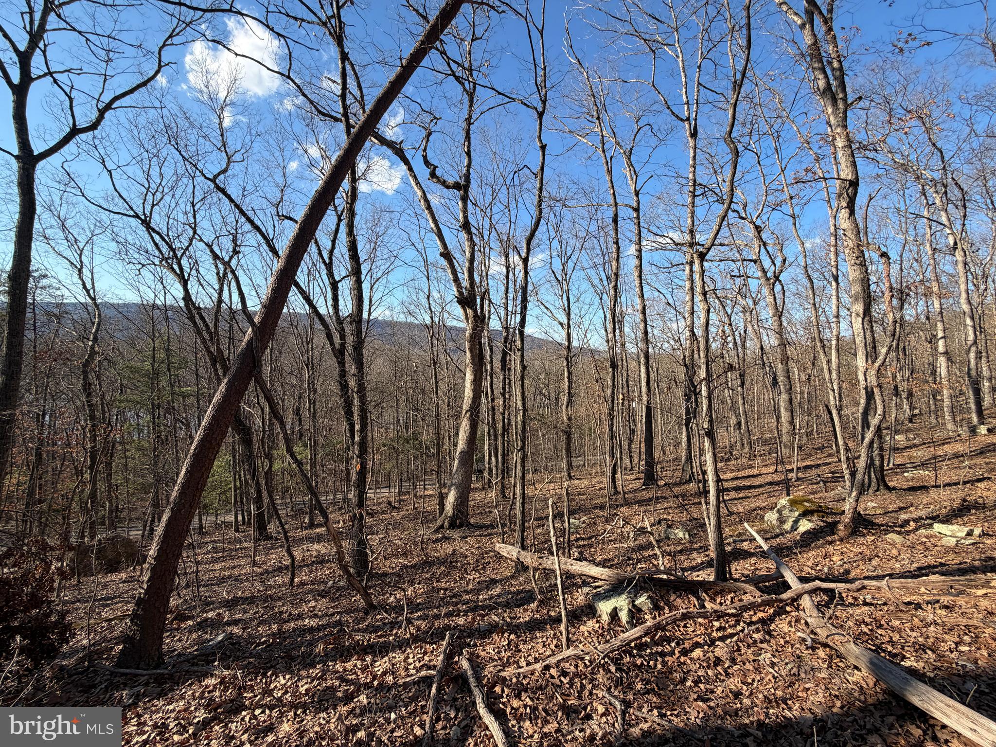 LAKE FERNDALE - Land