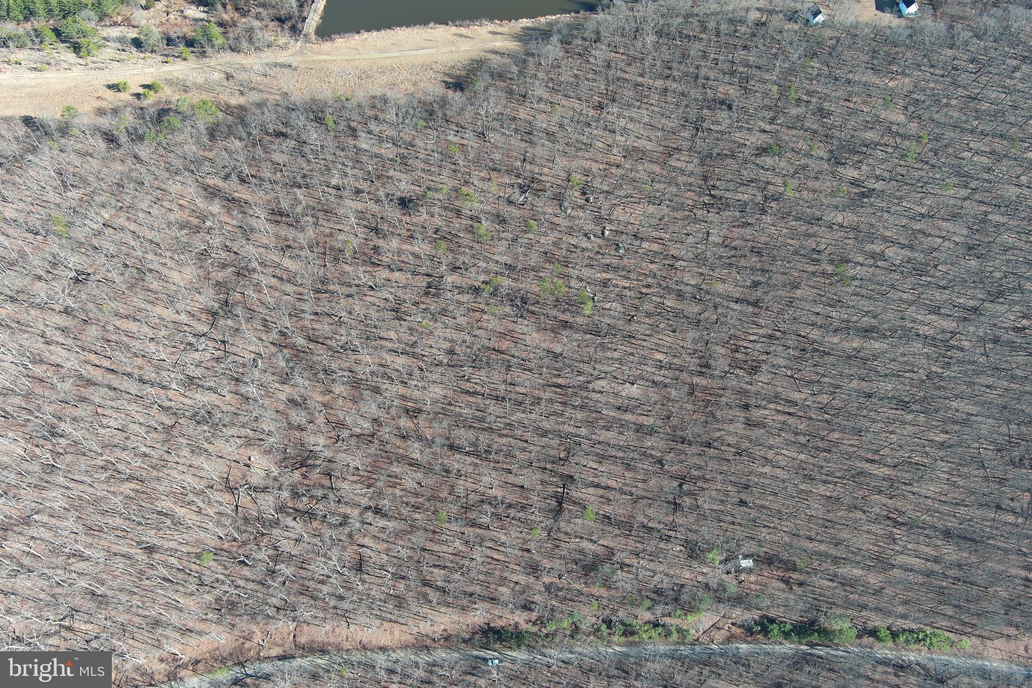 LAKE FERNDALE - Land