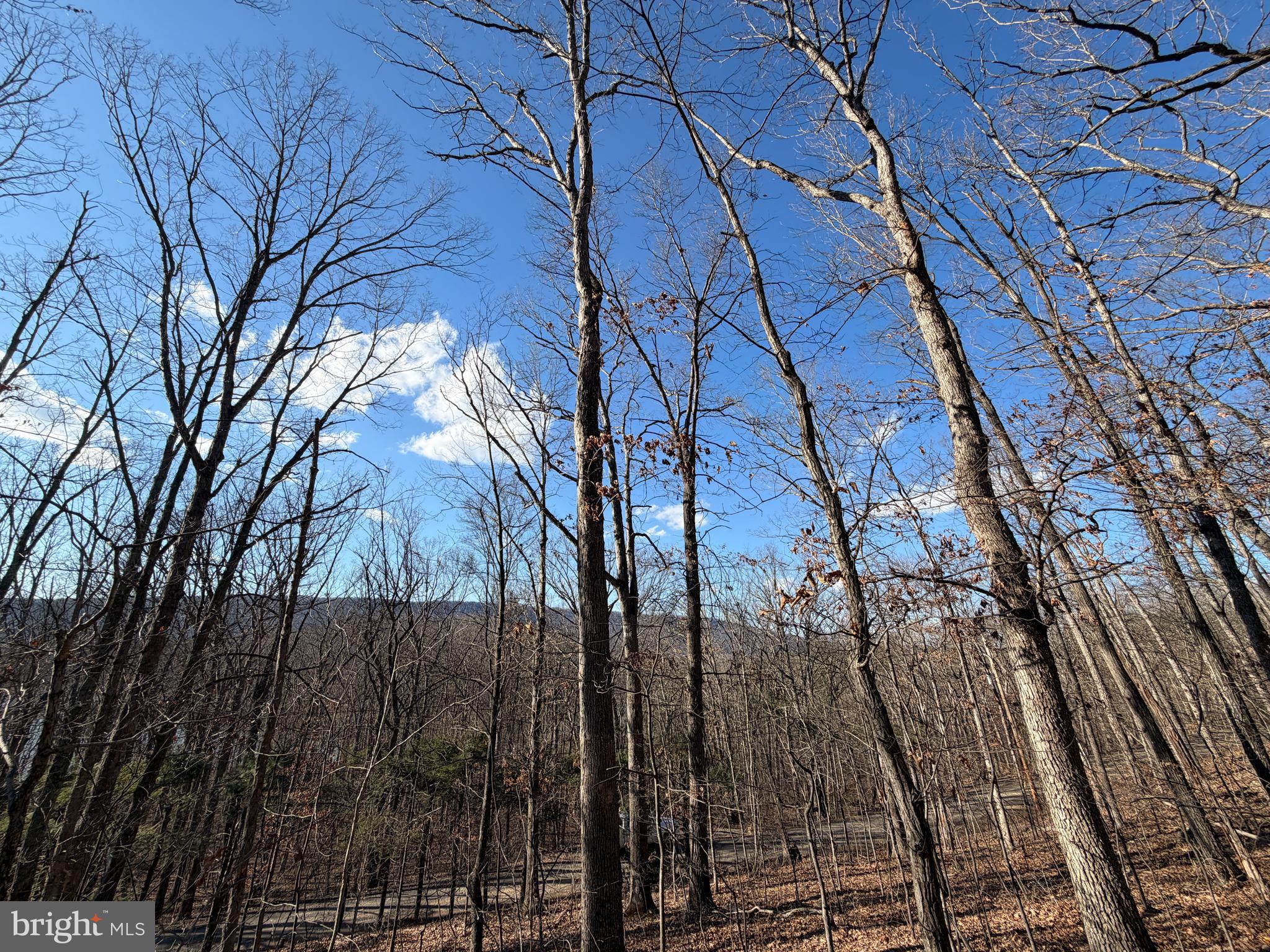 LAKE FERNDALE - Land