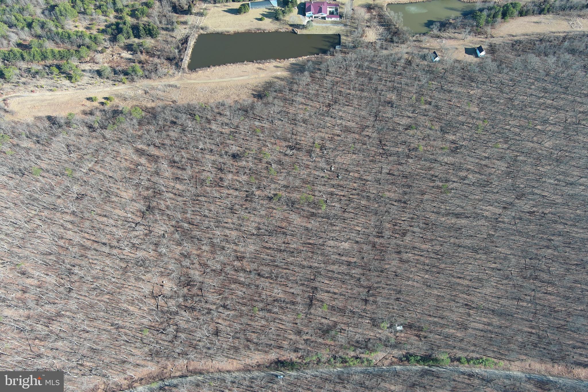 LAKE FERNDALE - Land