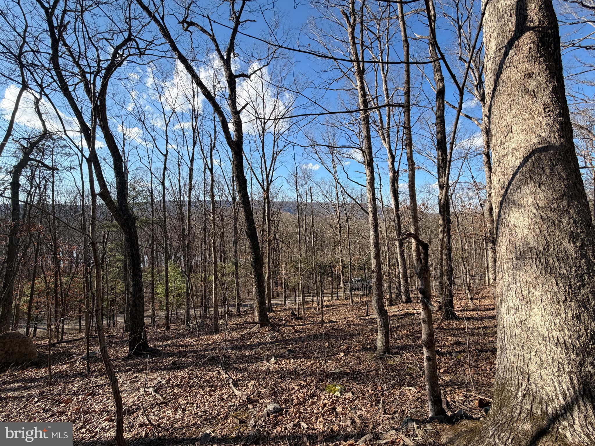 LAKE FERNDALE - Land