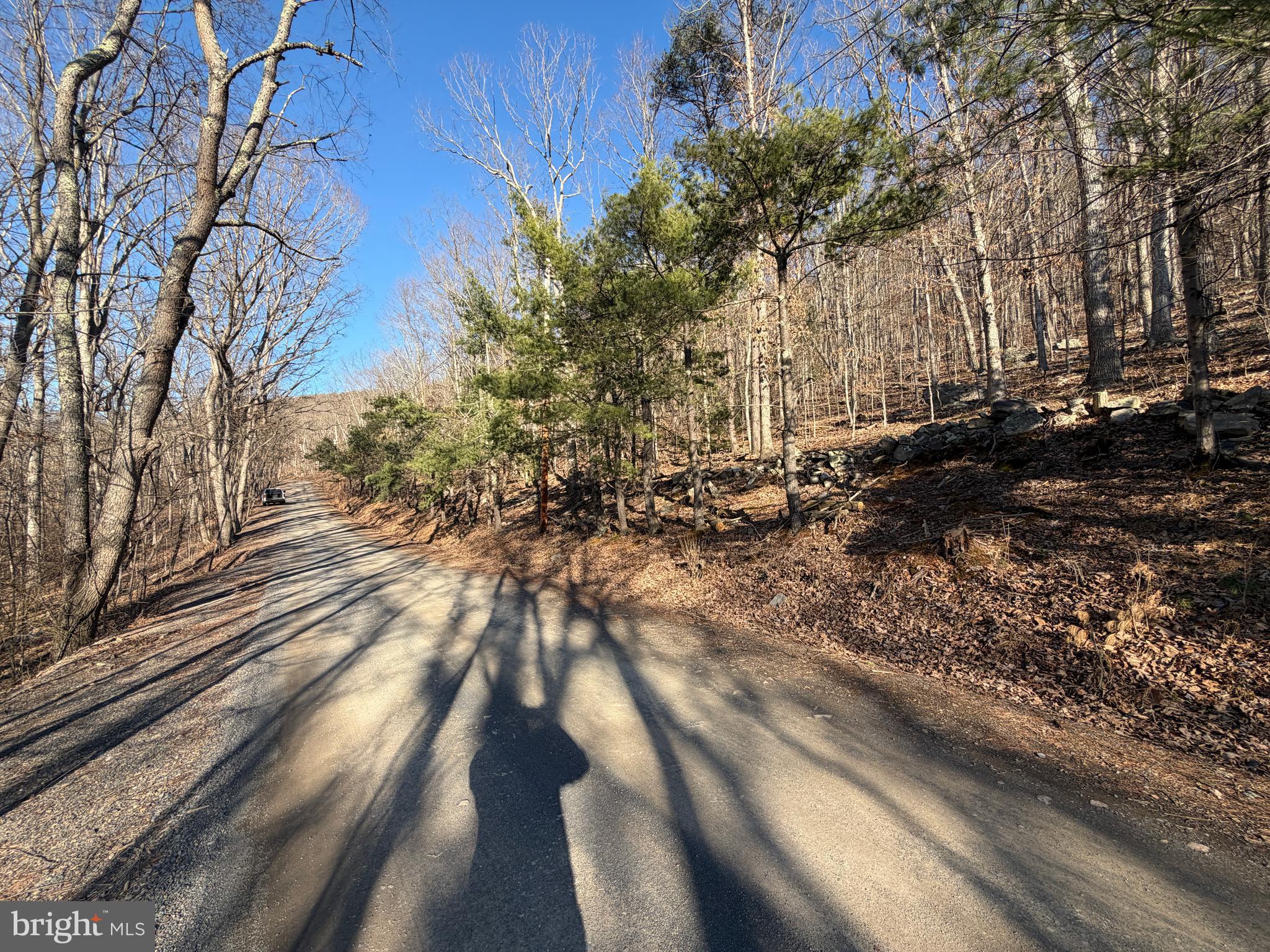 LAKE FERNDALE - Land