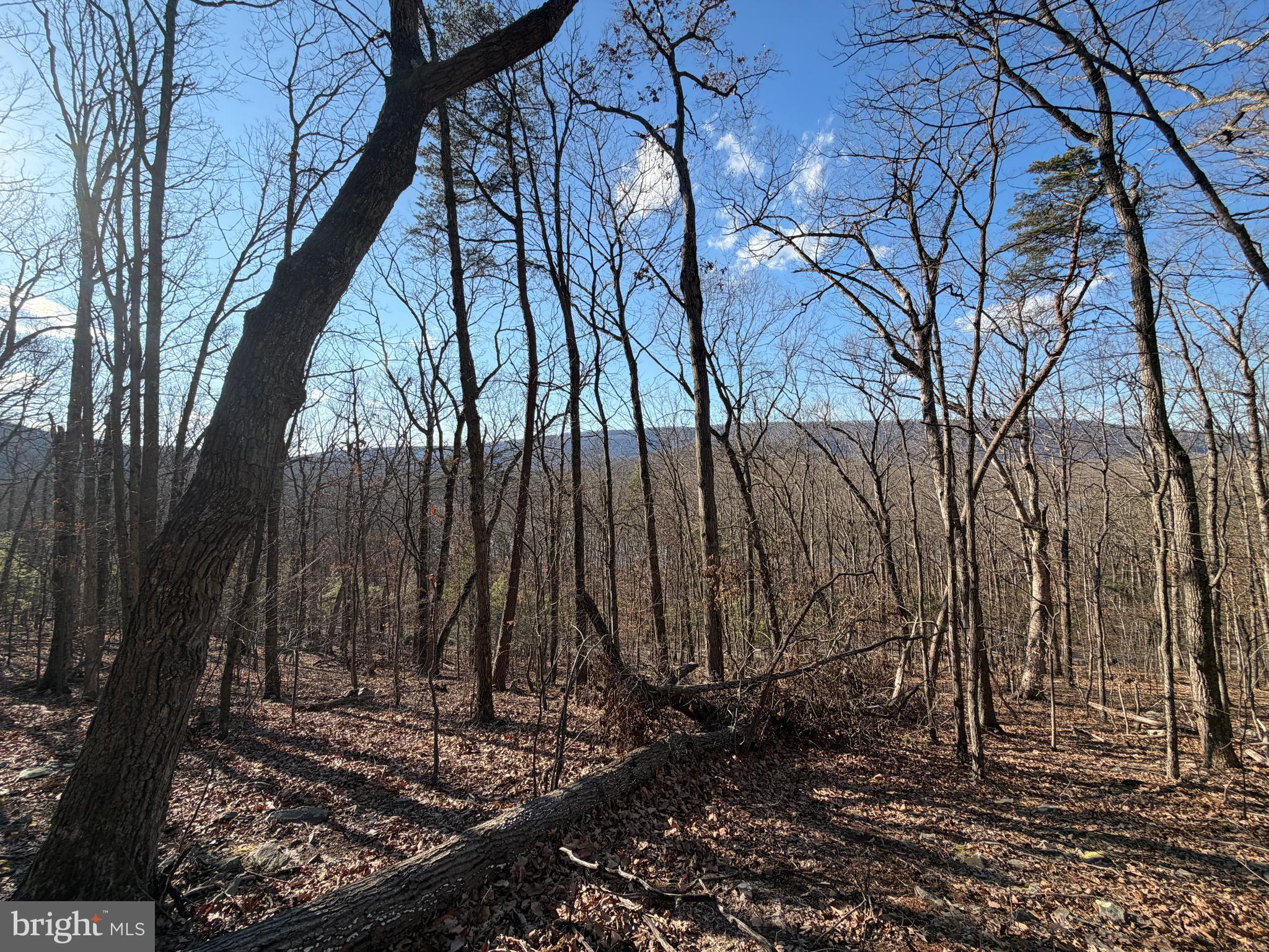 LAKE FERNDALE - Land