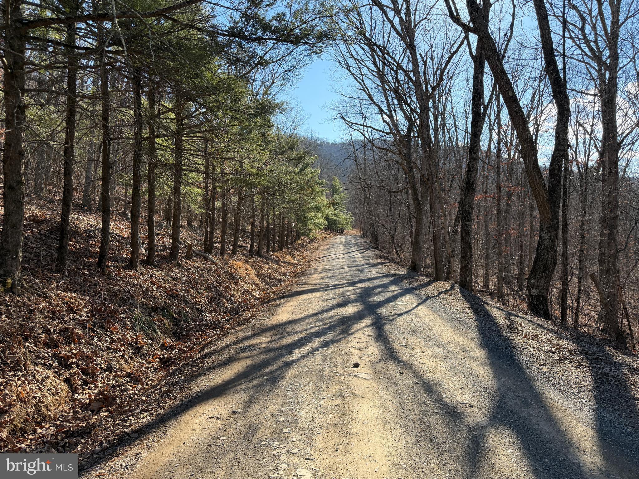 LAKE FERNDALE - Land