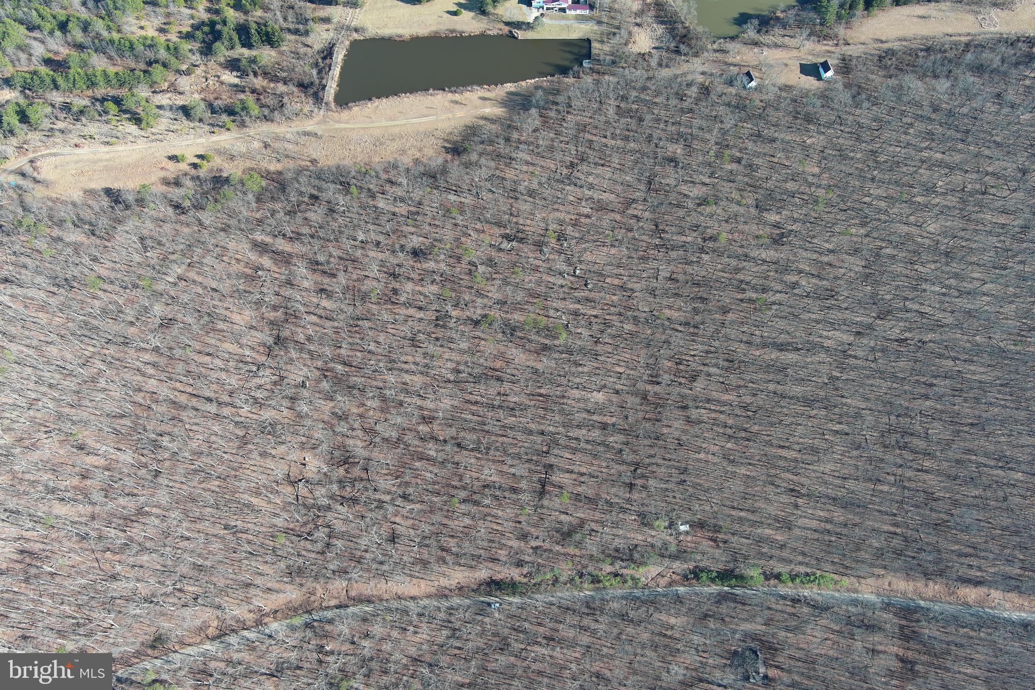 LAKE FERNDALE - Land