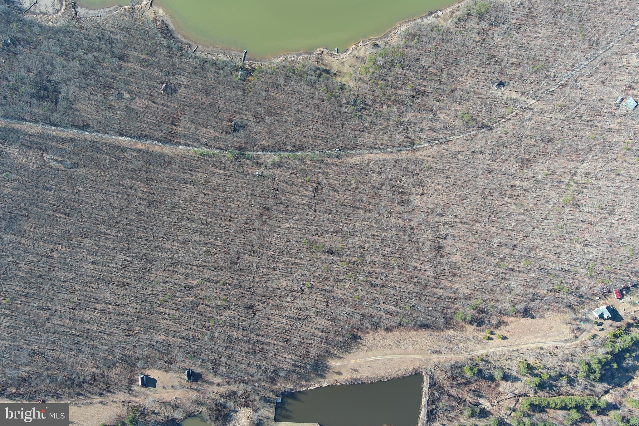 LAKE FERNDALE - Land