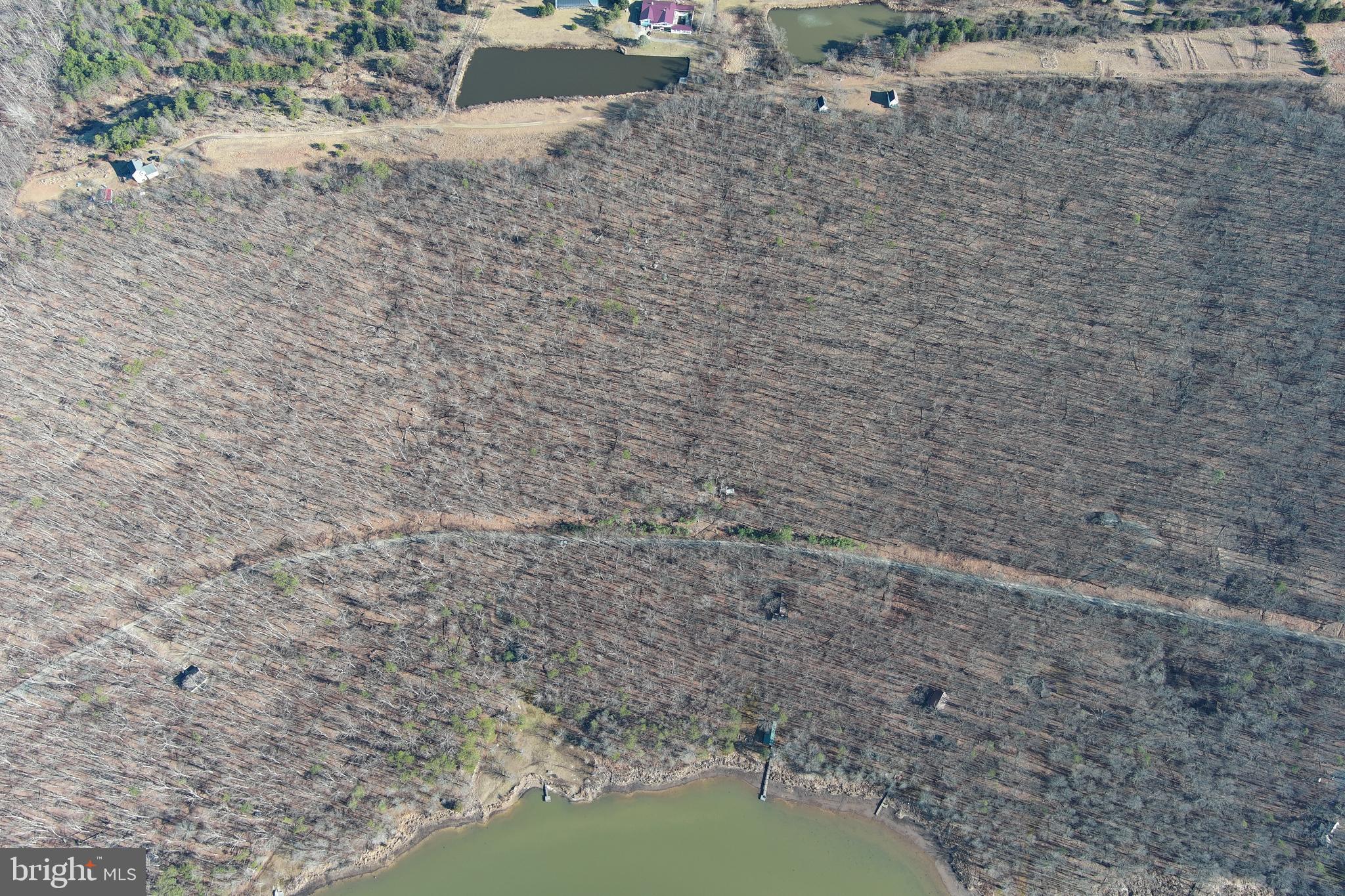 LAKE FERNDALE - Land