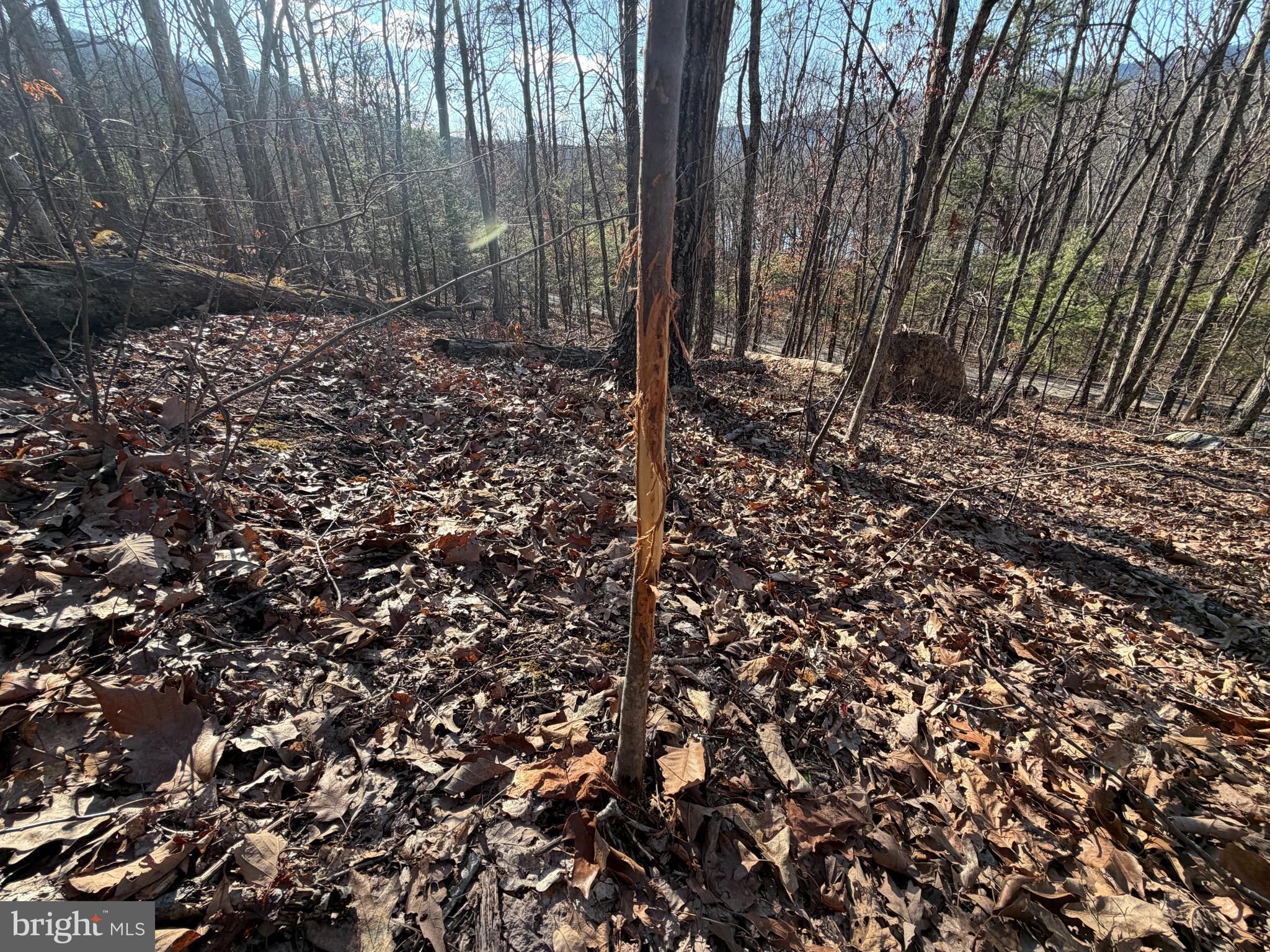 LAKE FERNDALE - Land