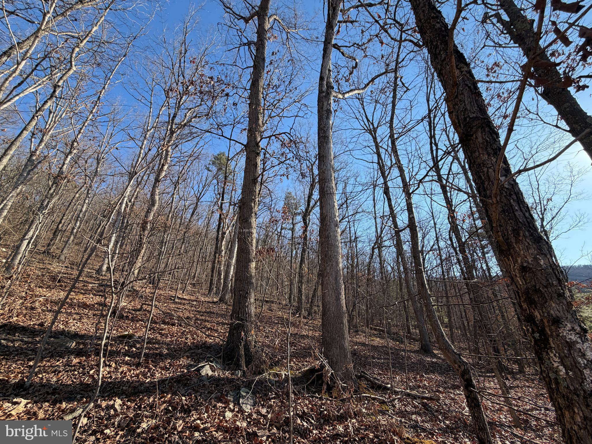 LAKE FERNDALE - Land