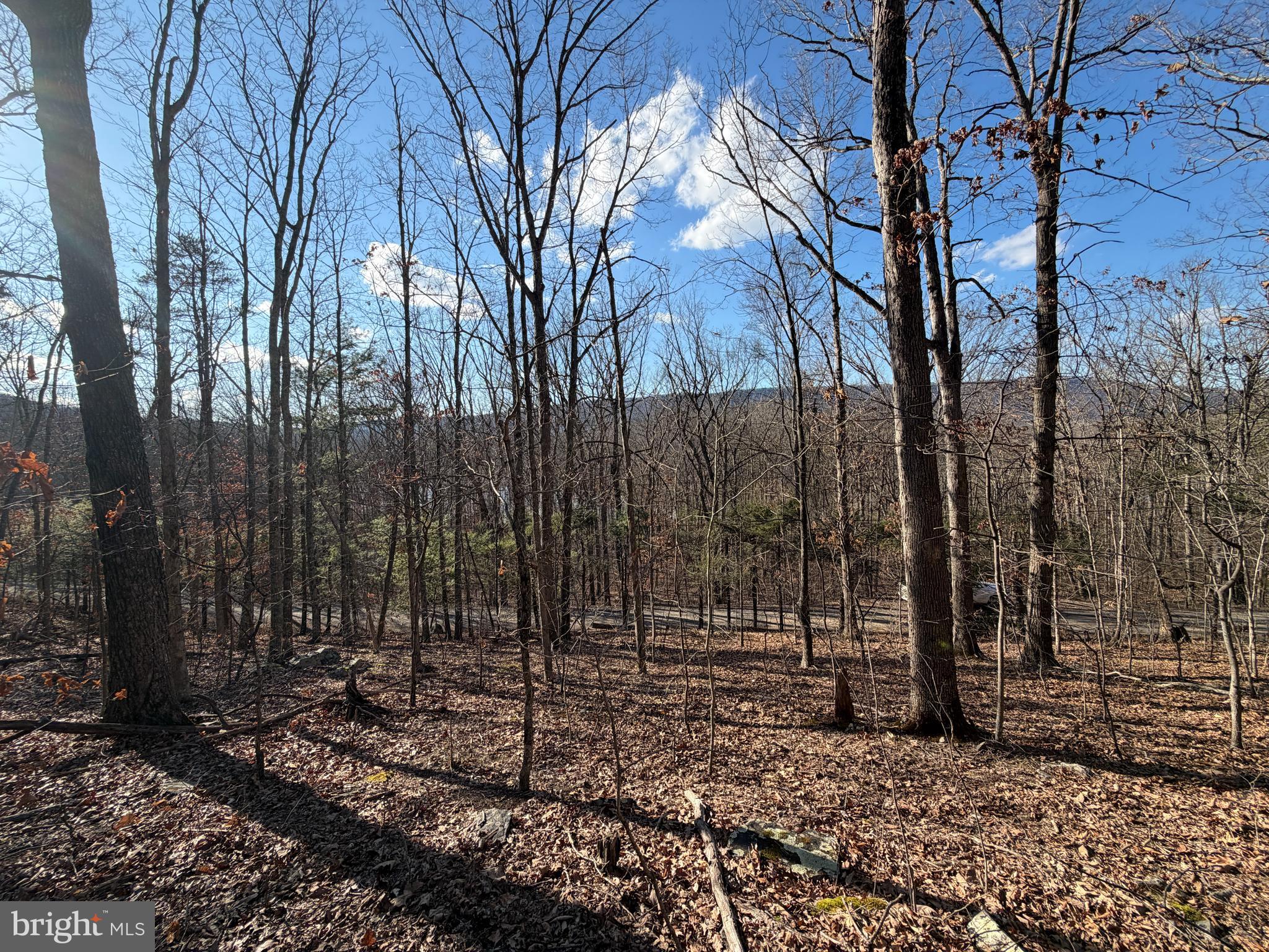 LAKE FERNDALE - Land