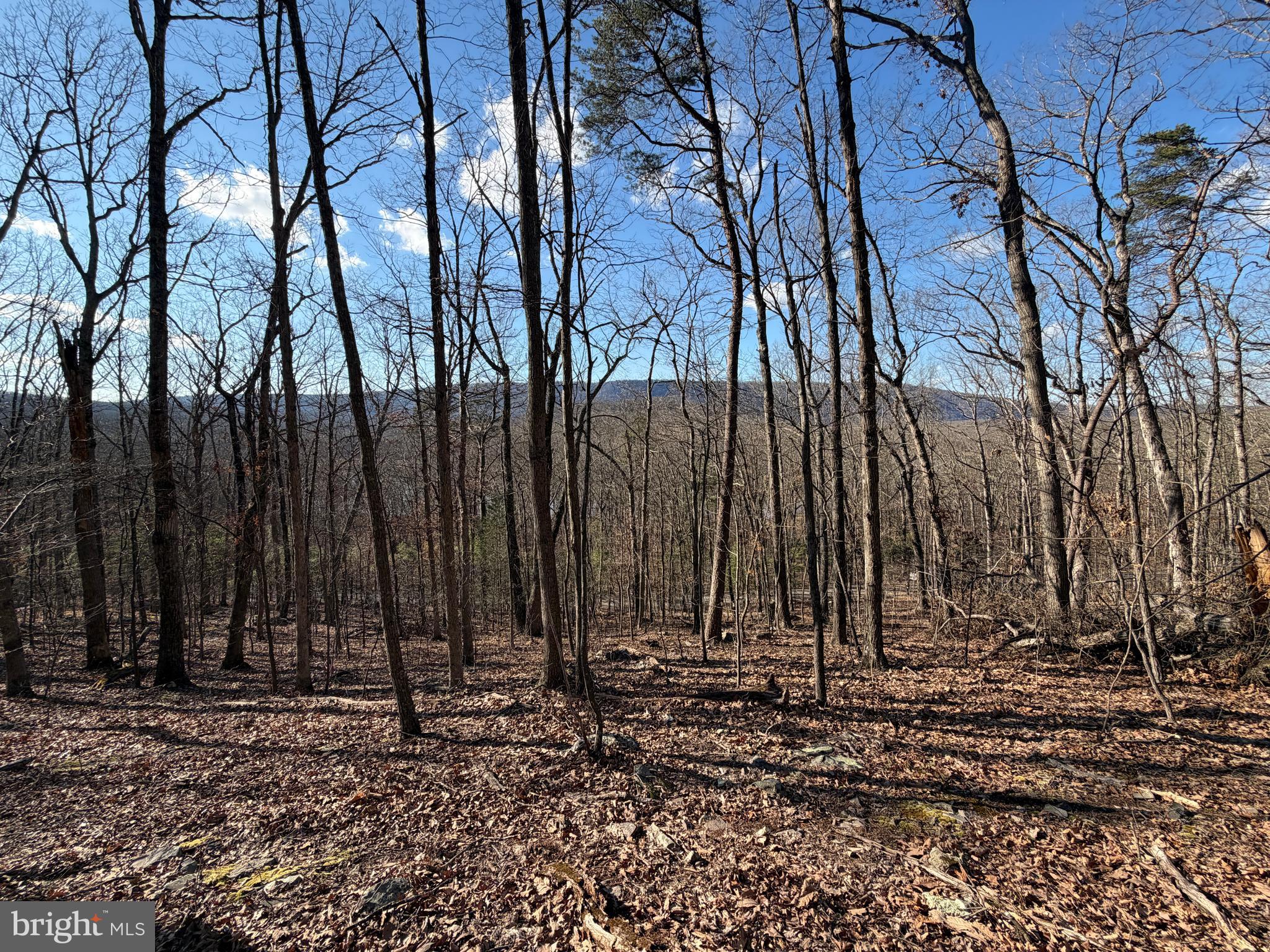 LAKE FERNDALE - Land